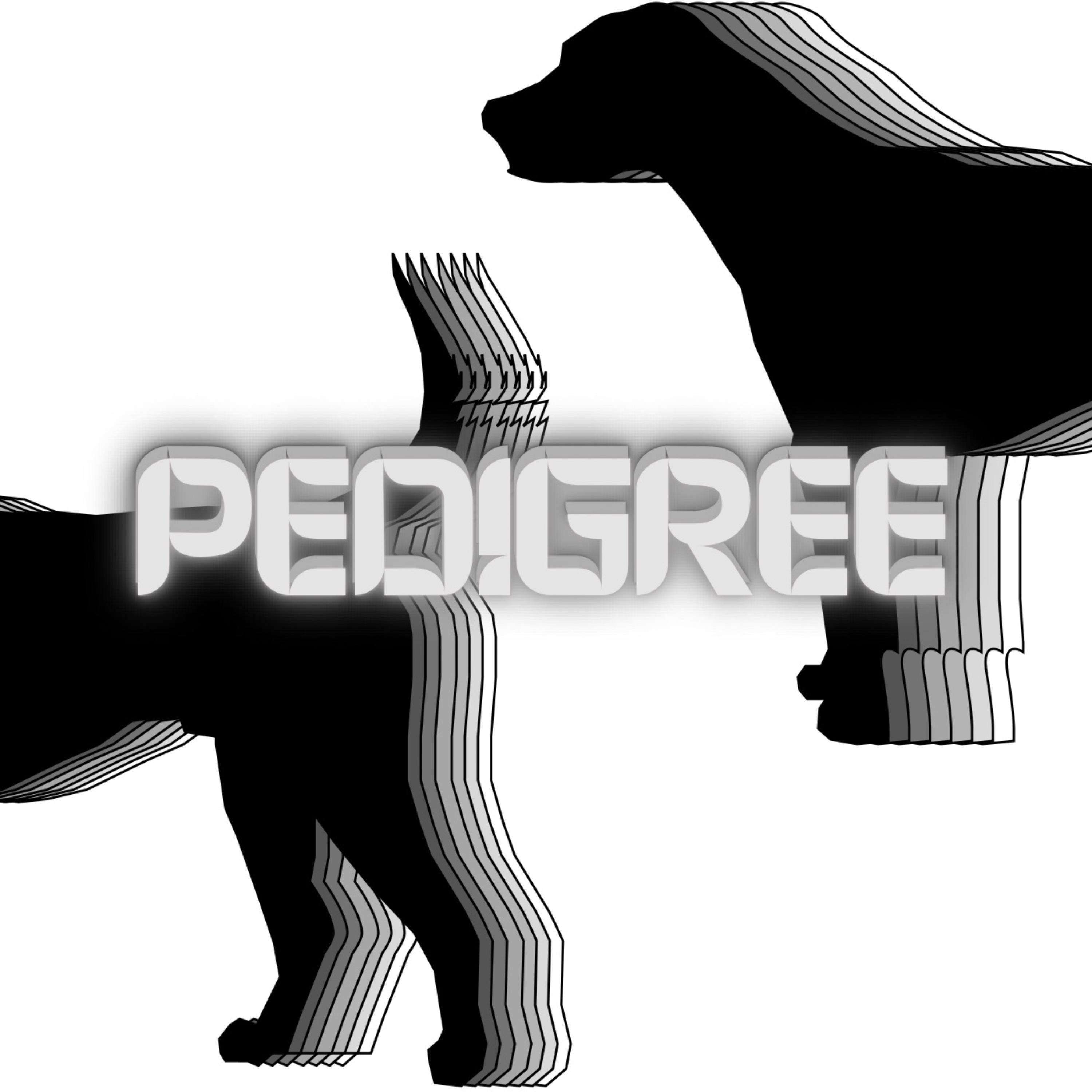 Pedigree artwork