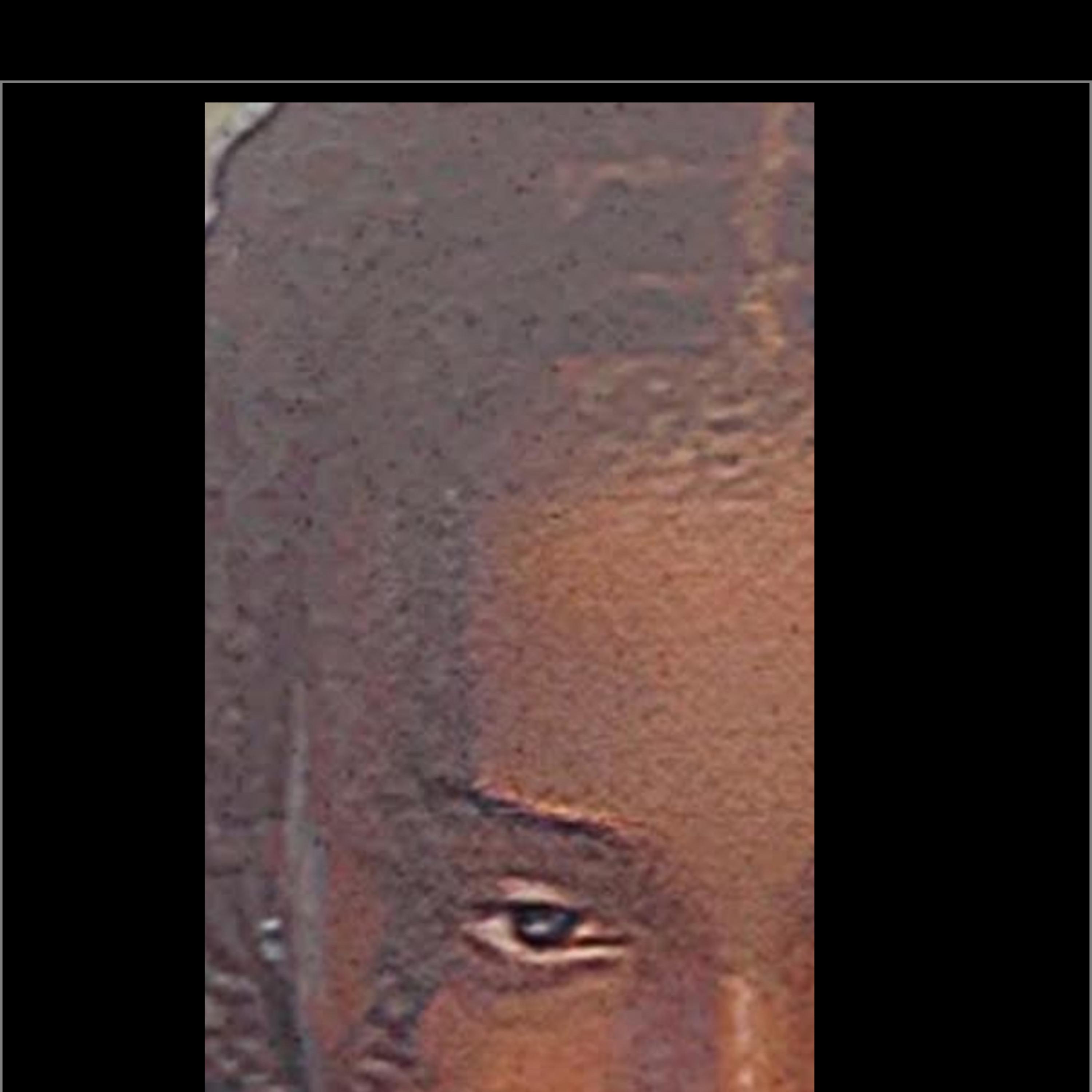 she want to see me artwork