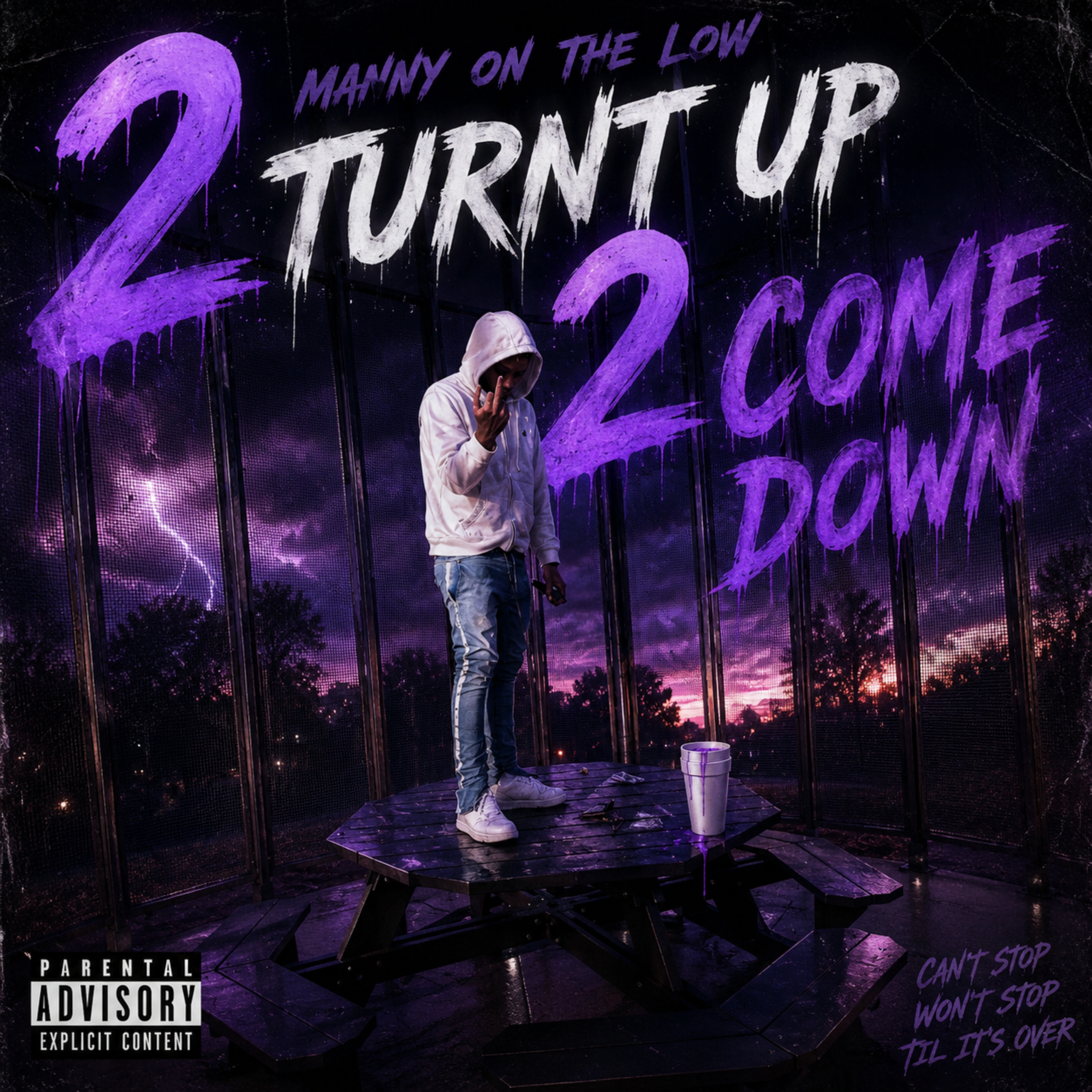 2 TURNT UP 2 COME DOWN by Manny On The Low cover art