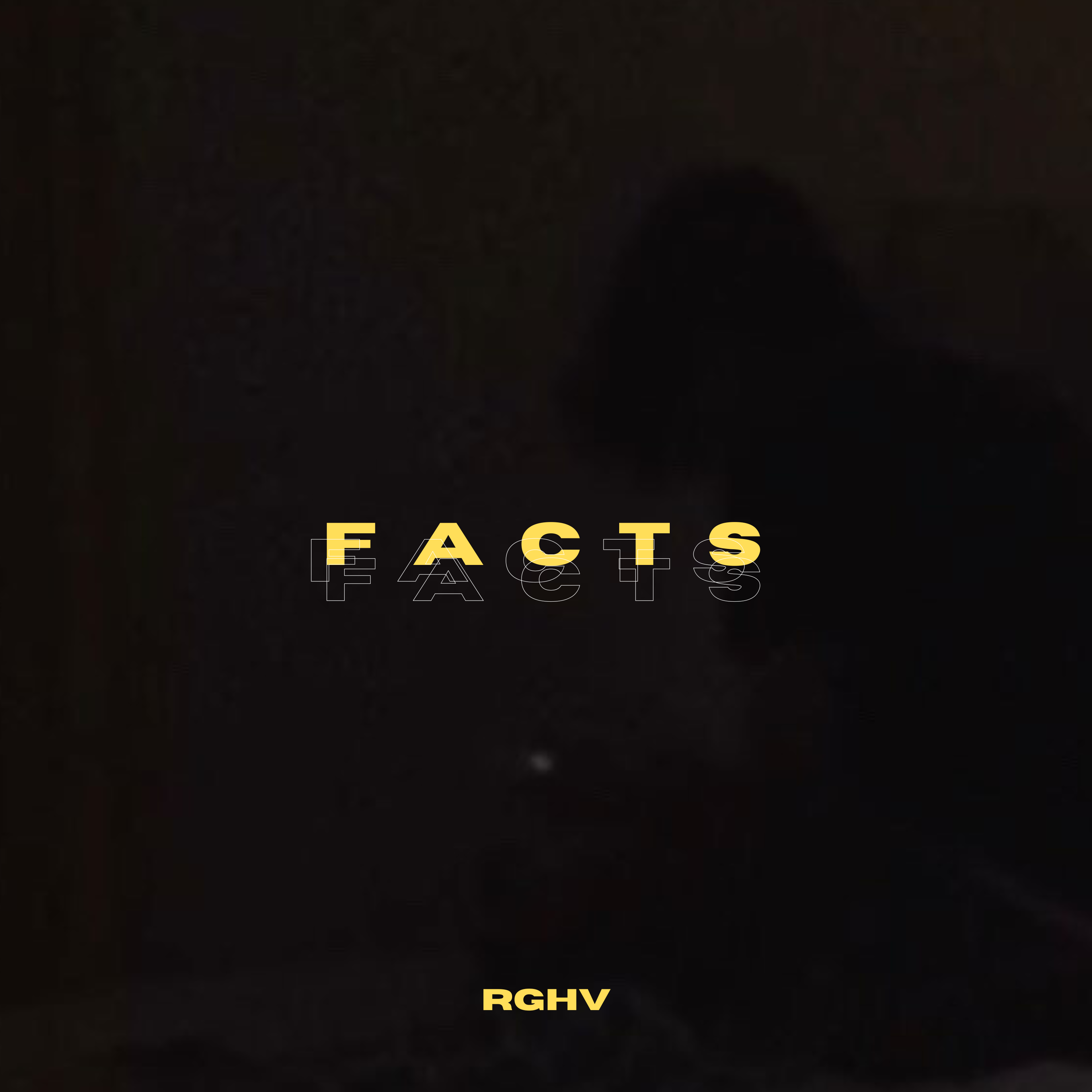 facts artwork
