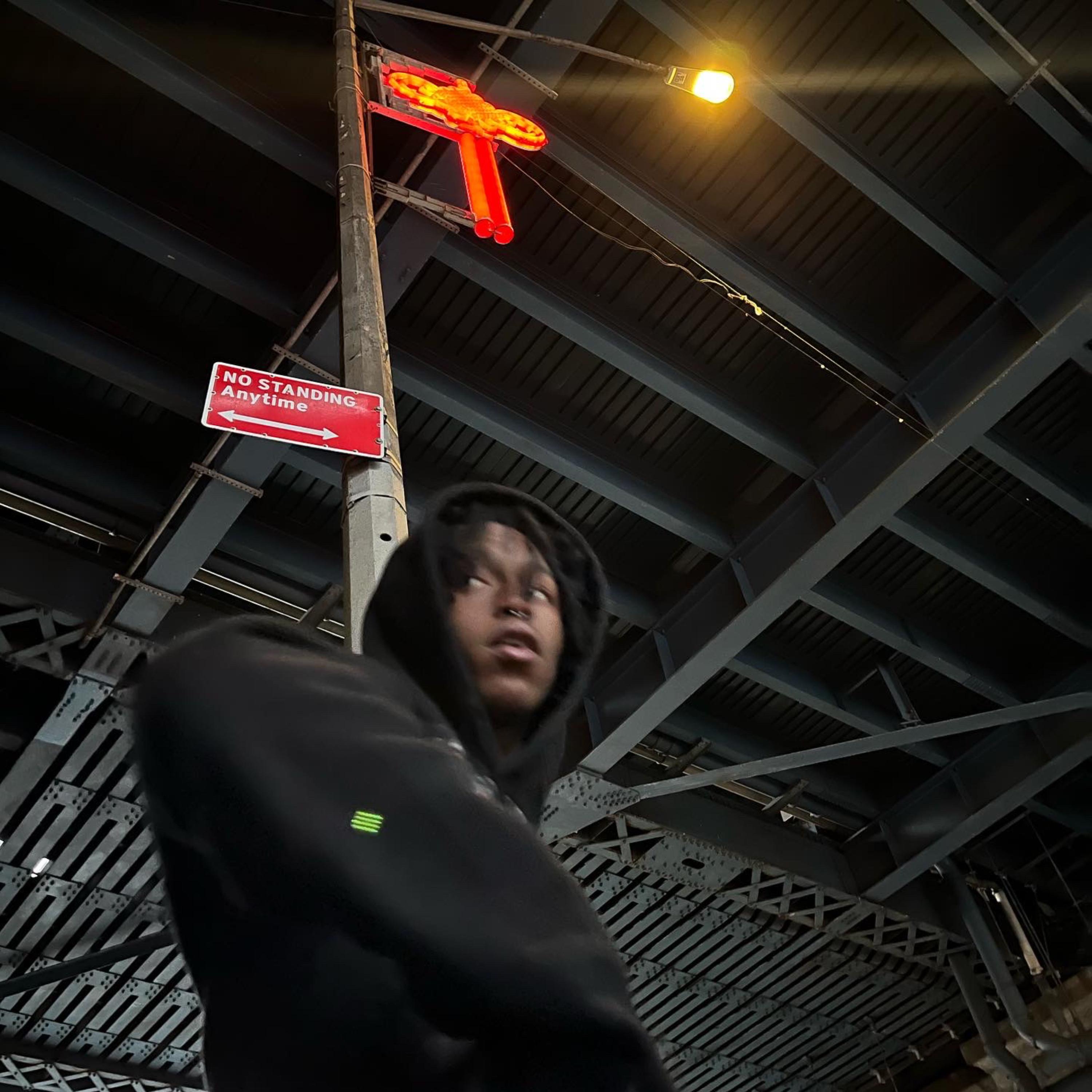 Homeland (PGR) artwork