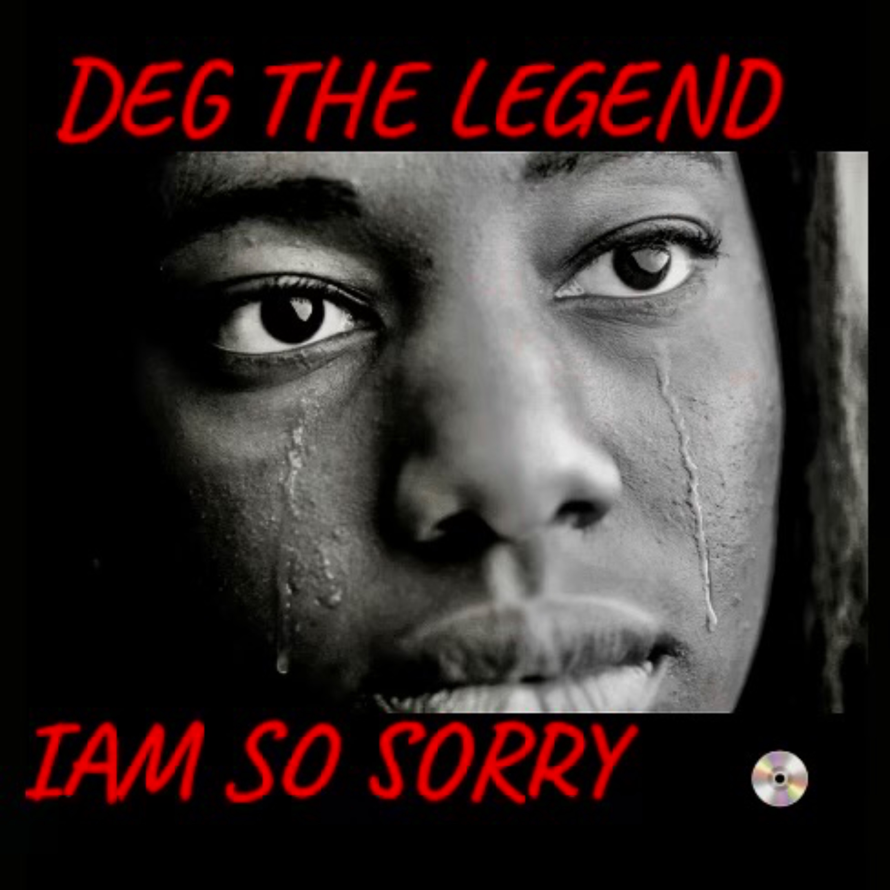 IAM SO SORRY artwork