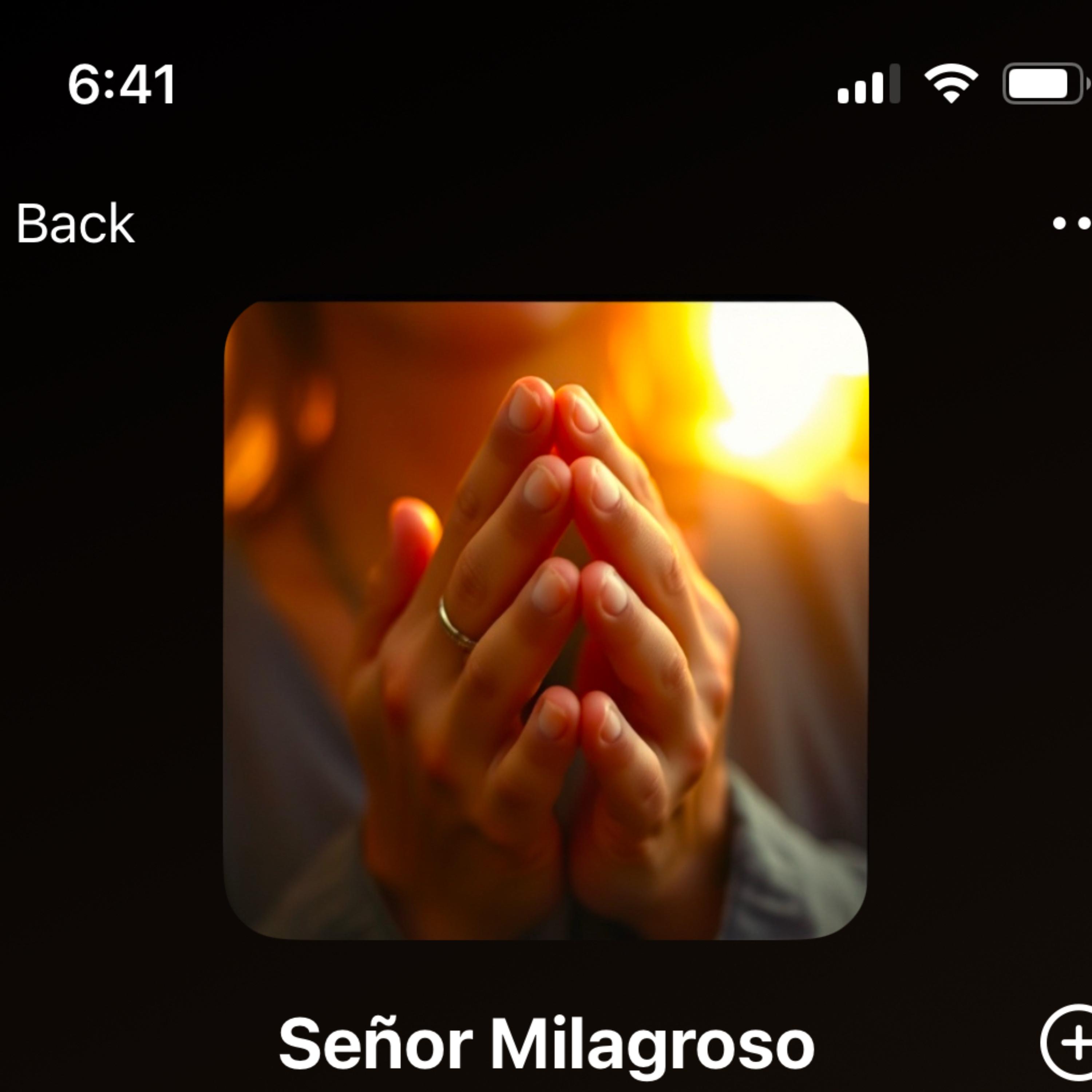 Señor Milagroso artwork