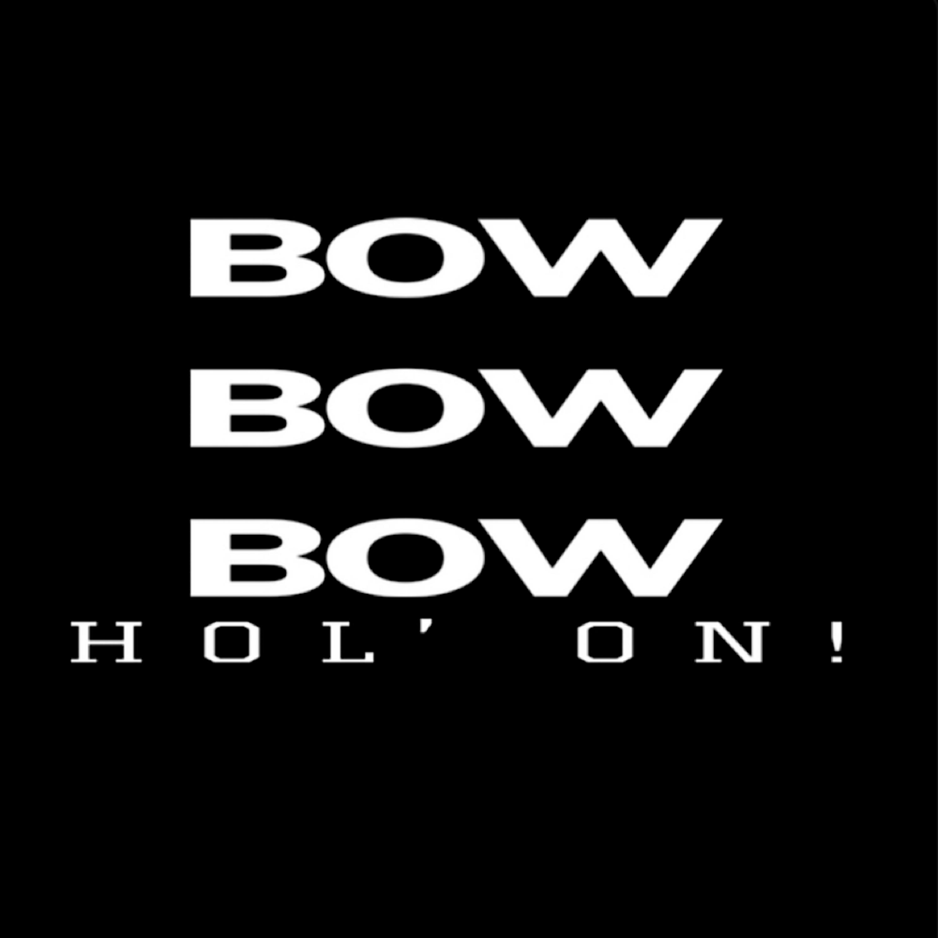 BOW (Hol' On) artwork