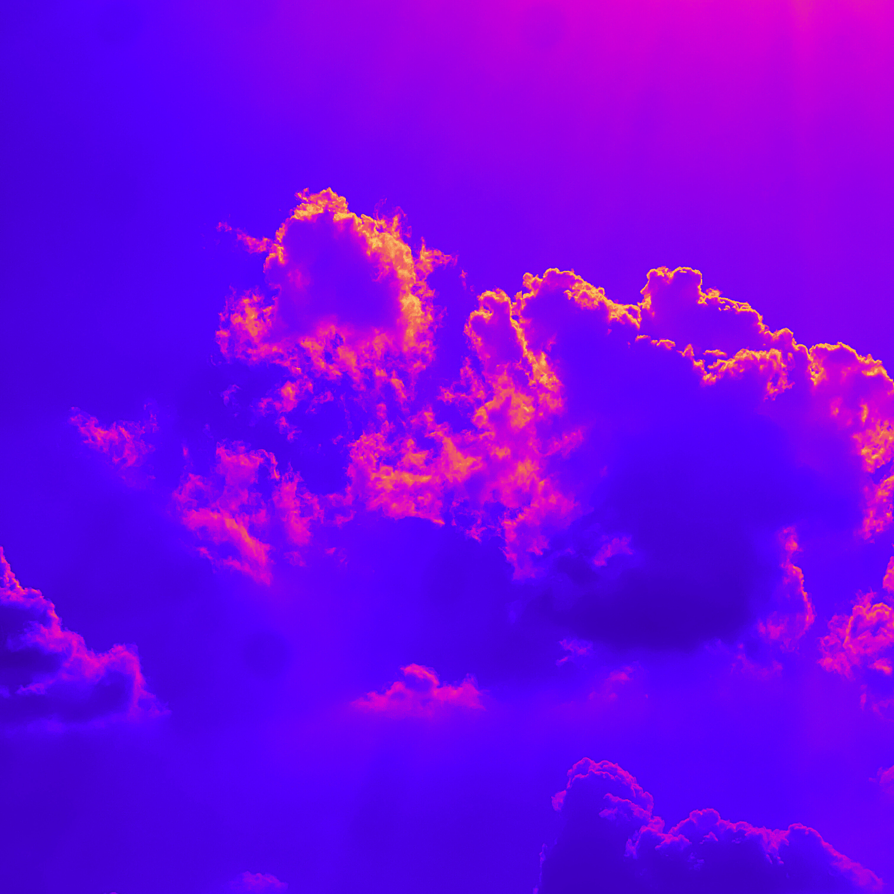 Day Z artwork