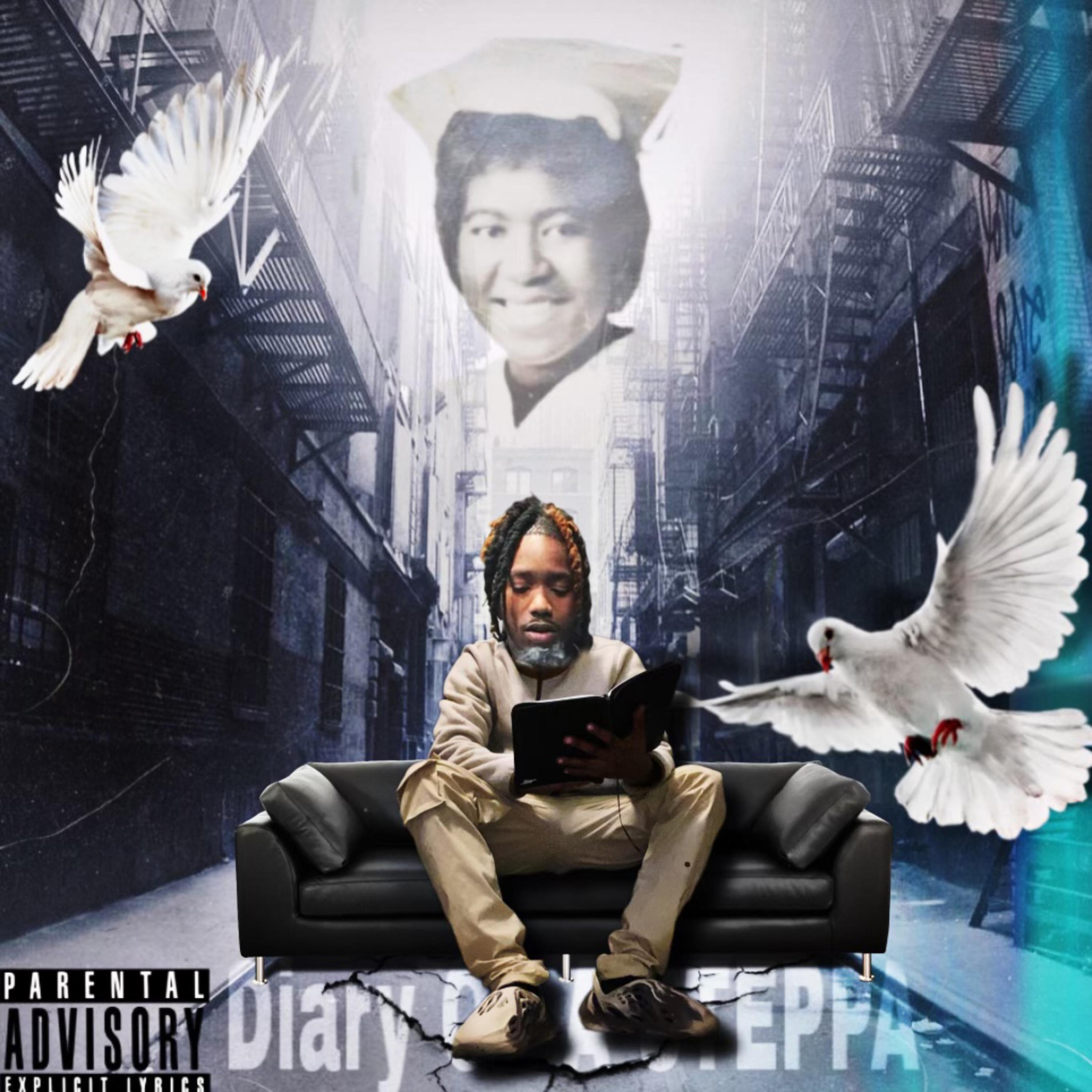 Diary Of A Steppa by Cannadadon cover art