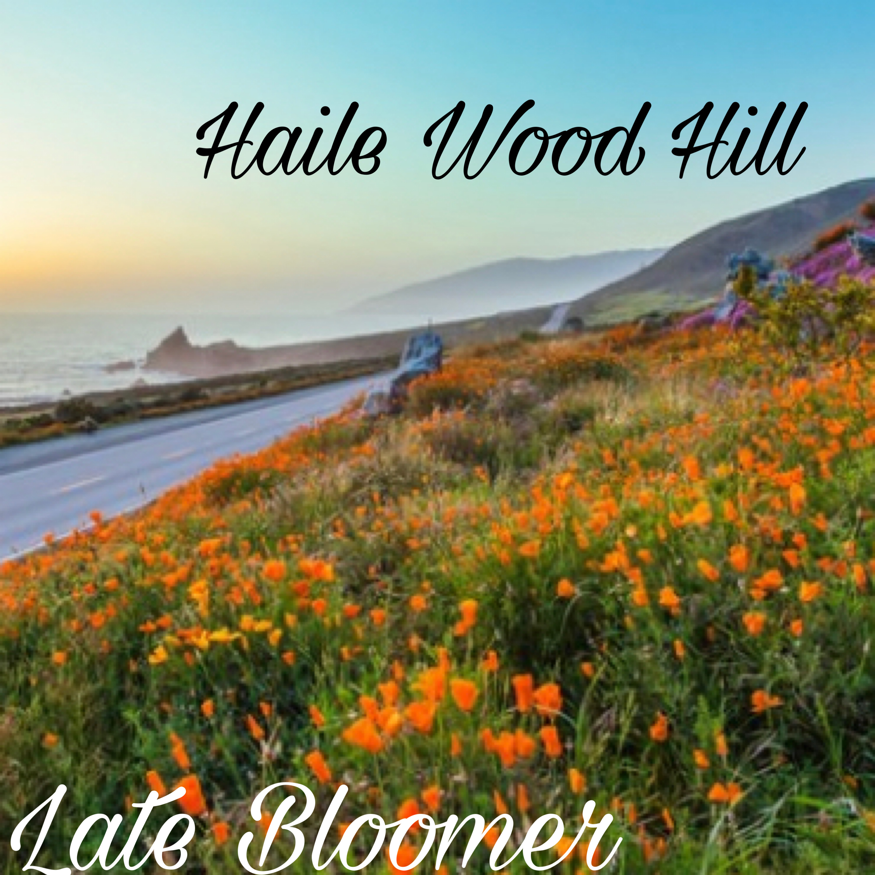 Late Bloomer by Haile-Wood Hill cover art