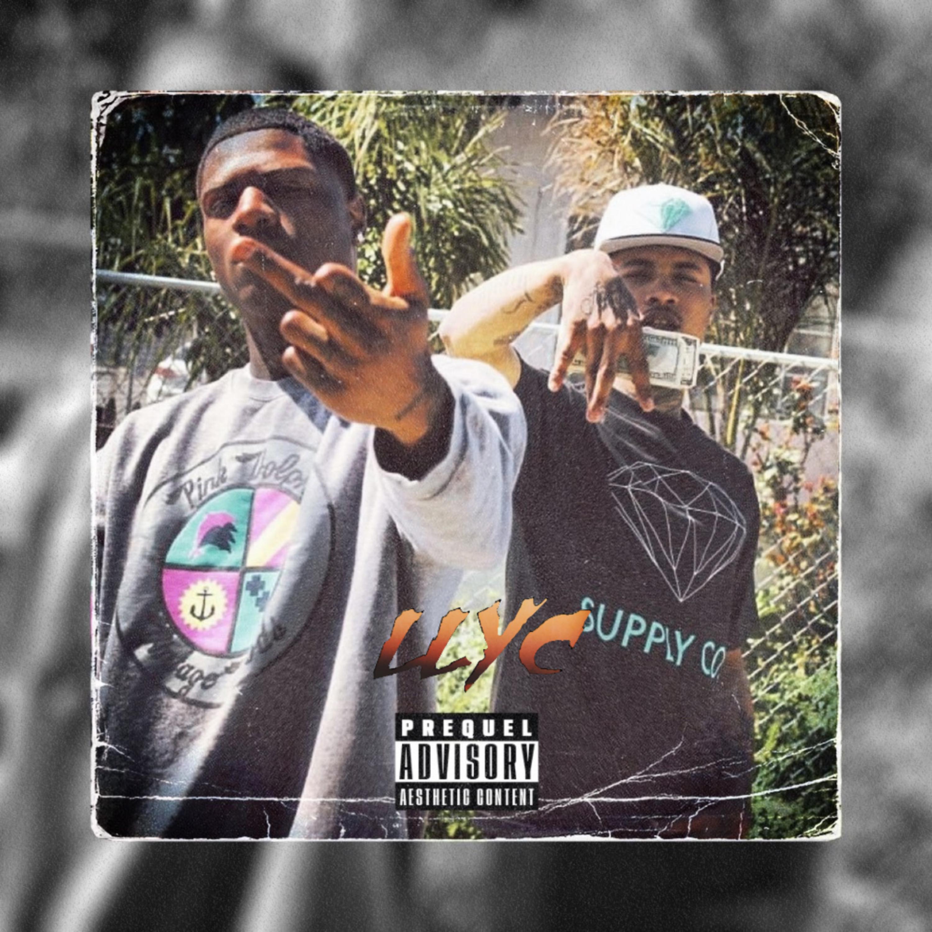 LLYC artwork