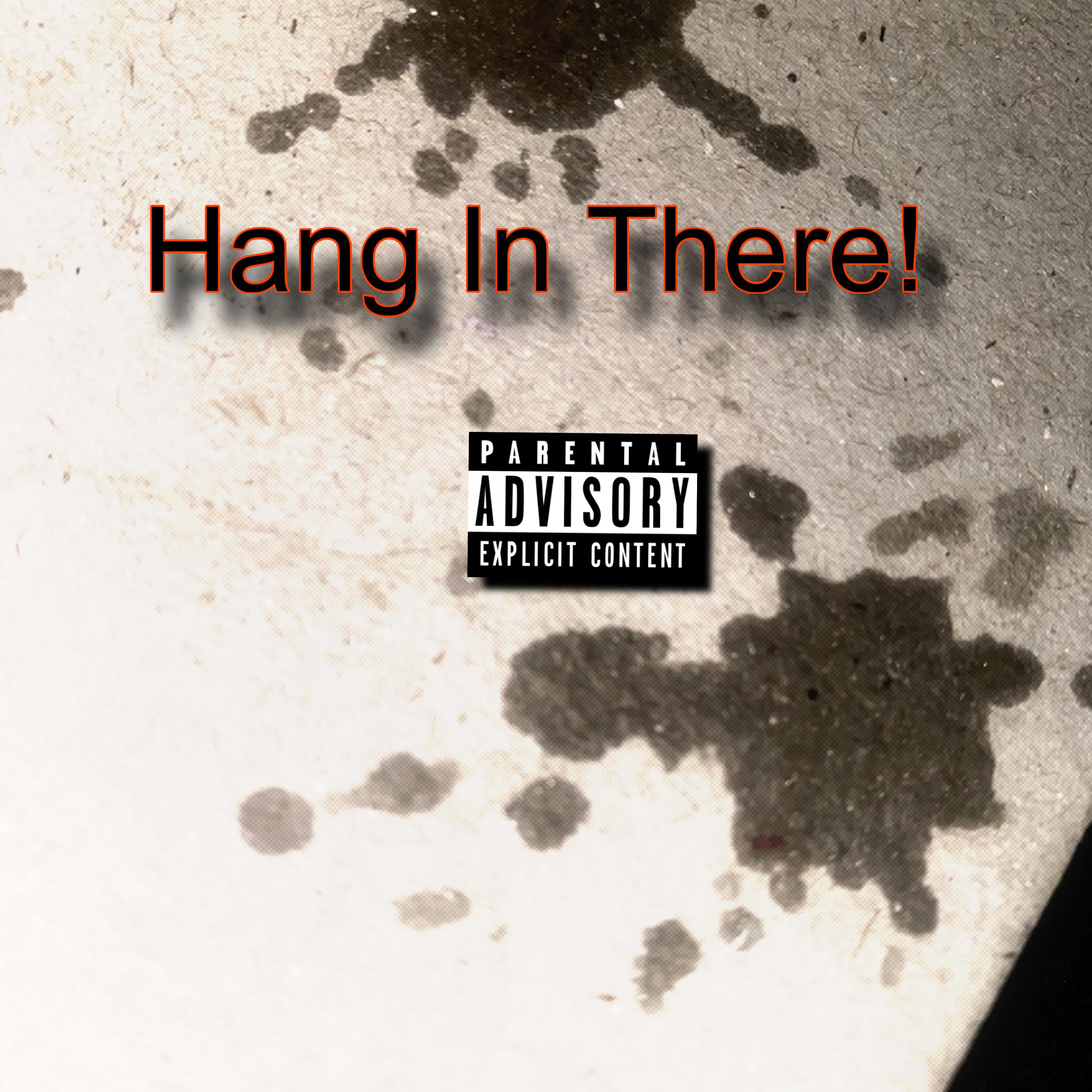 Hang In there! artwork