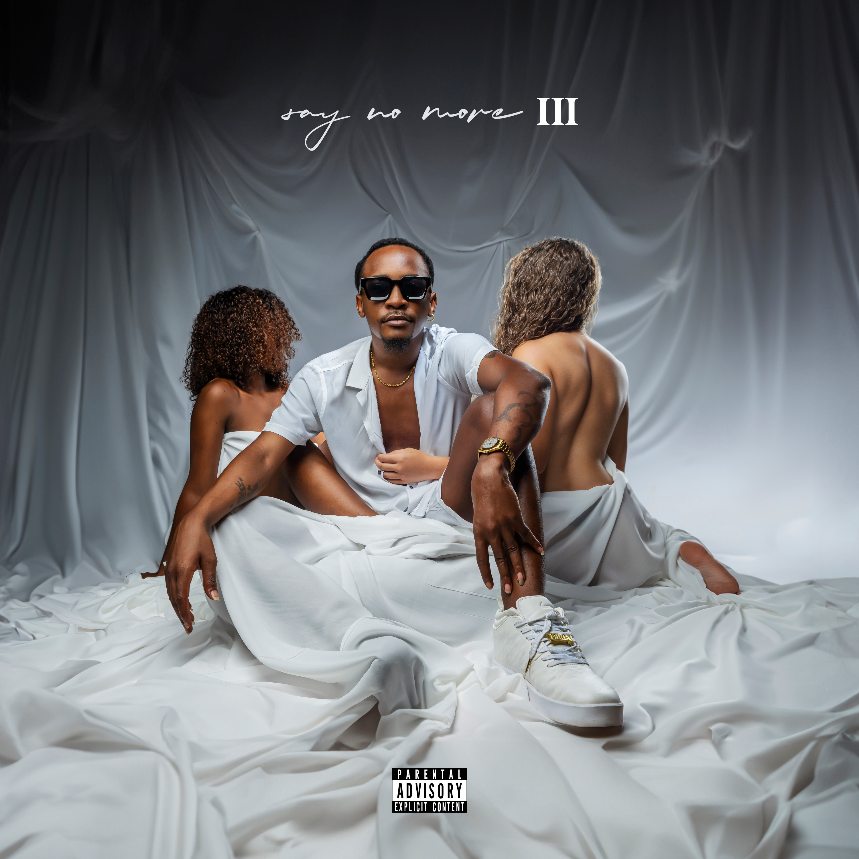 Say No more 3 (Album) artwork