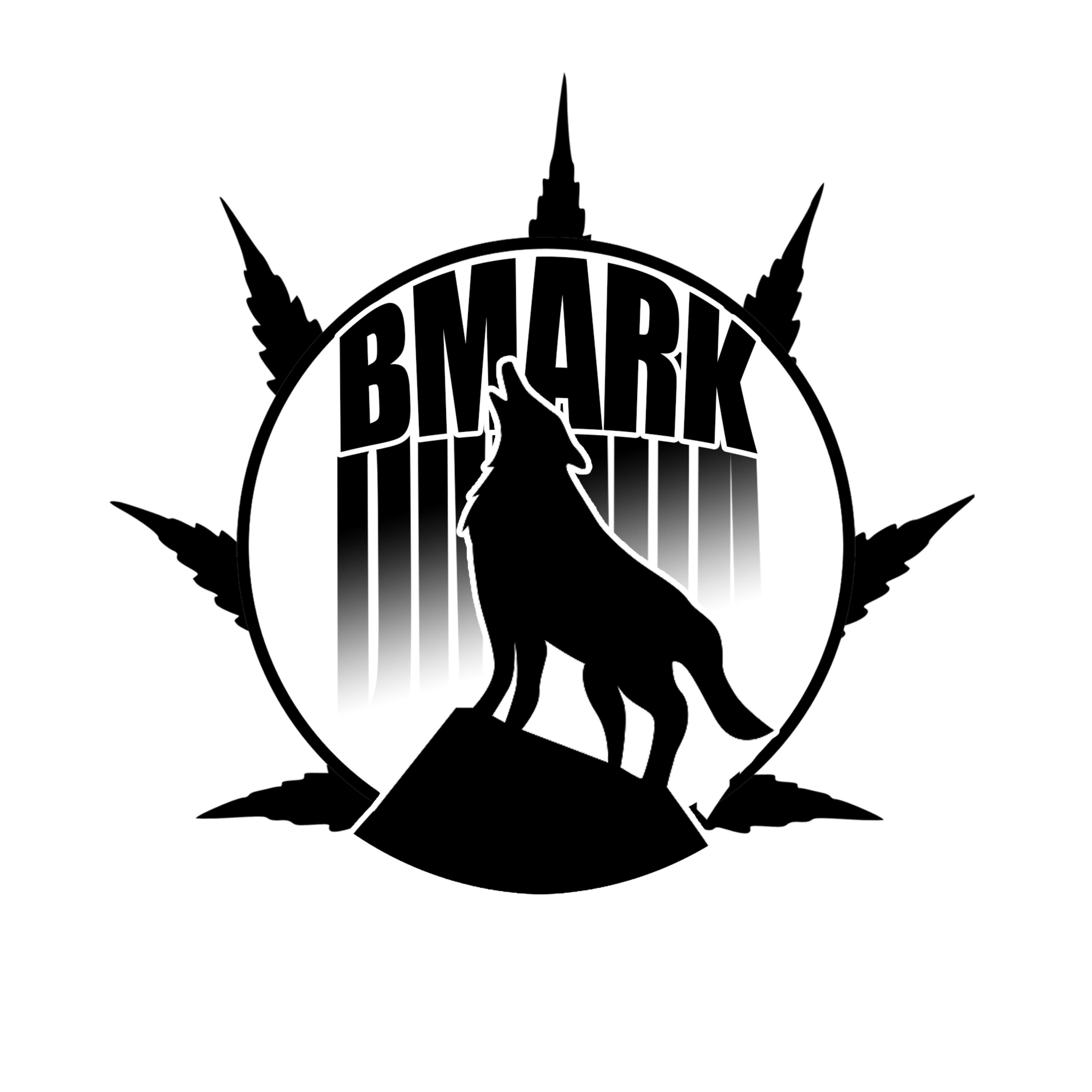 Shouldnt Of Fall For You artwork