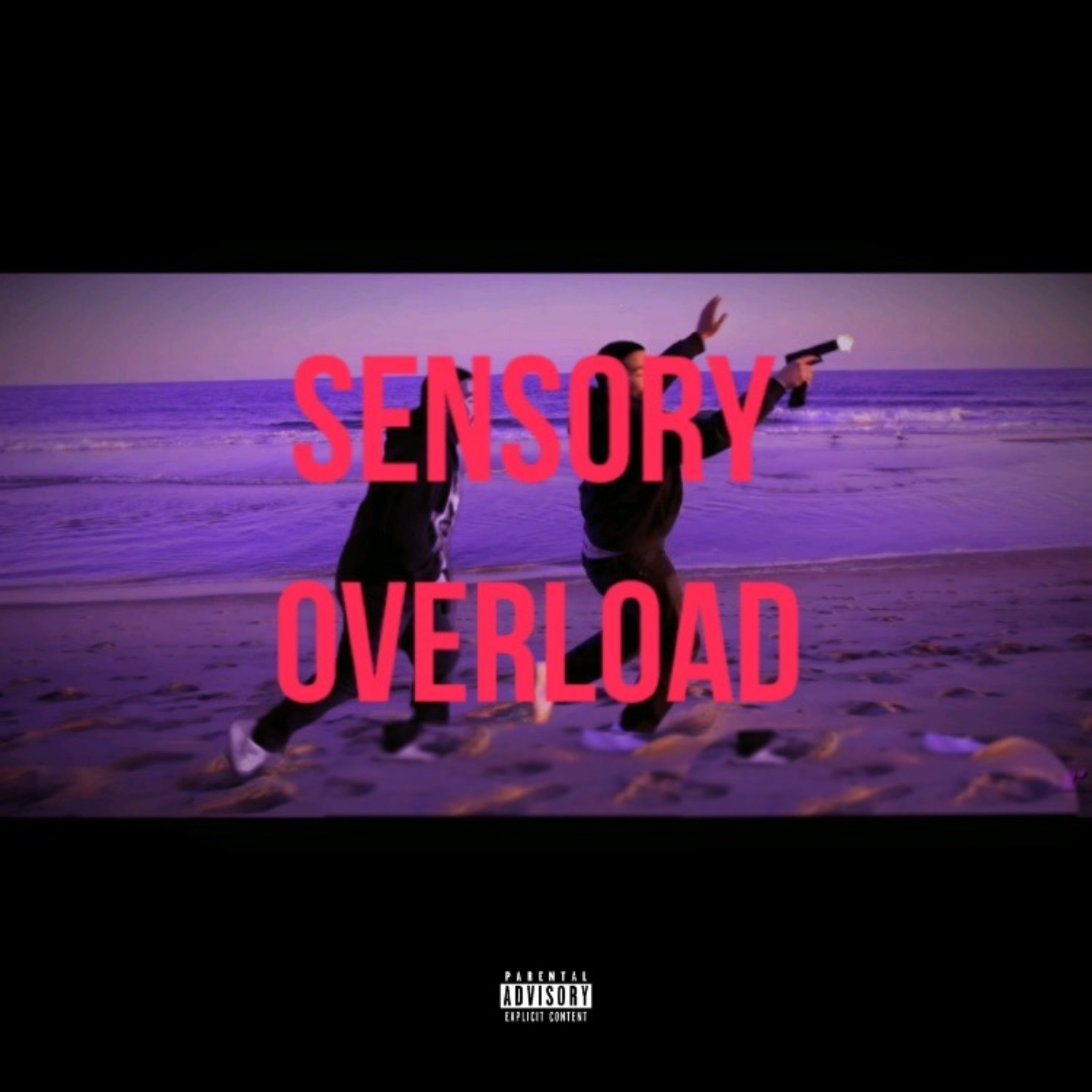 Sensory Overload artwork