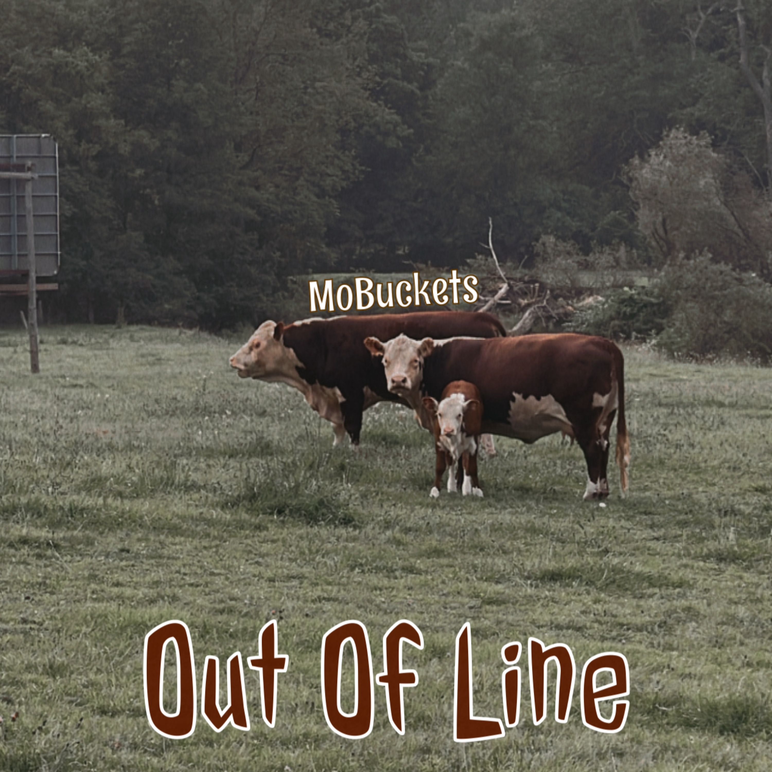 OOL by Mobuckets cover art