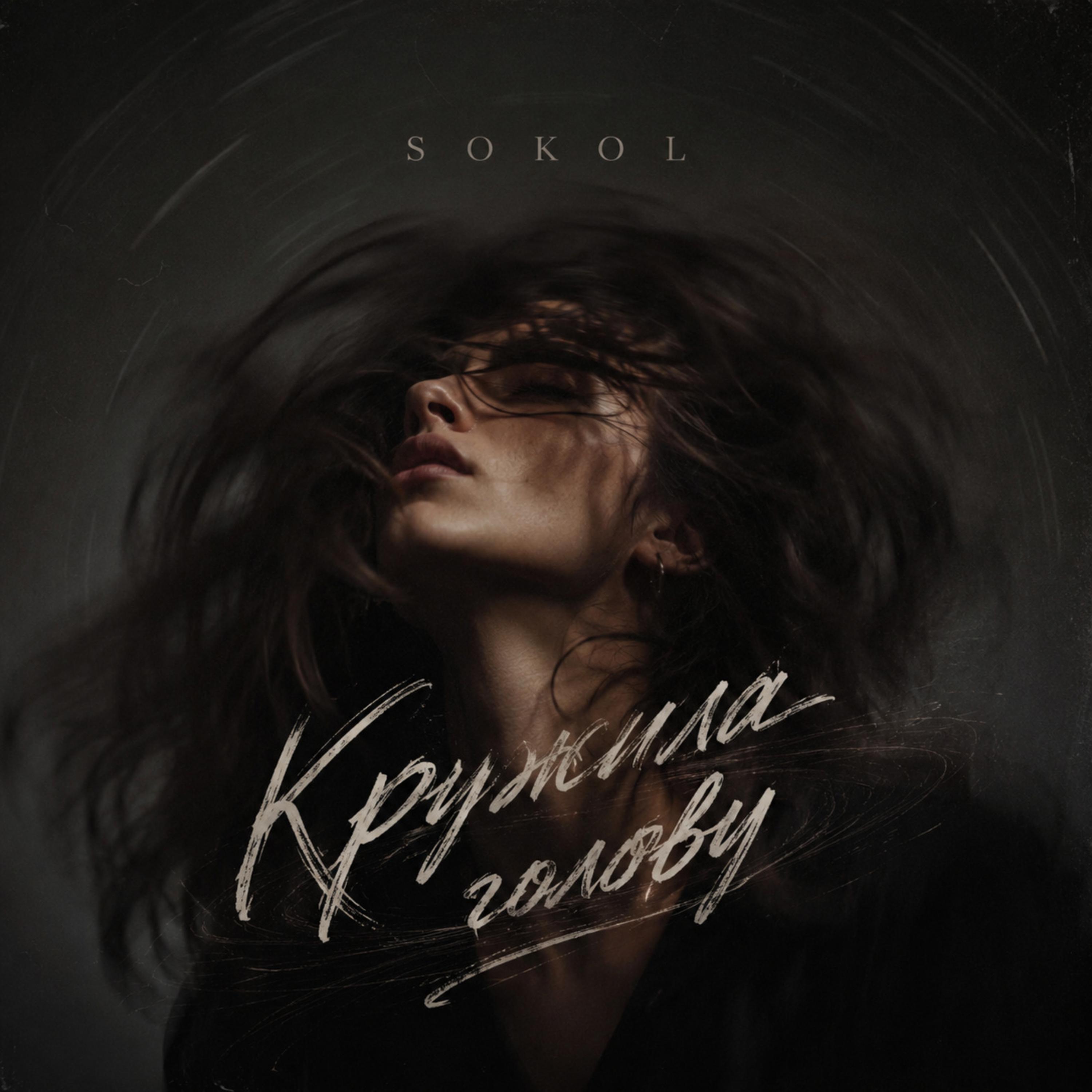 Кружила голову by Sokol cover art