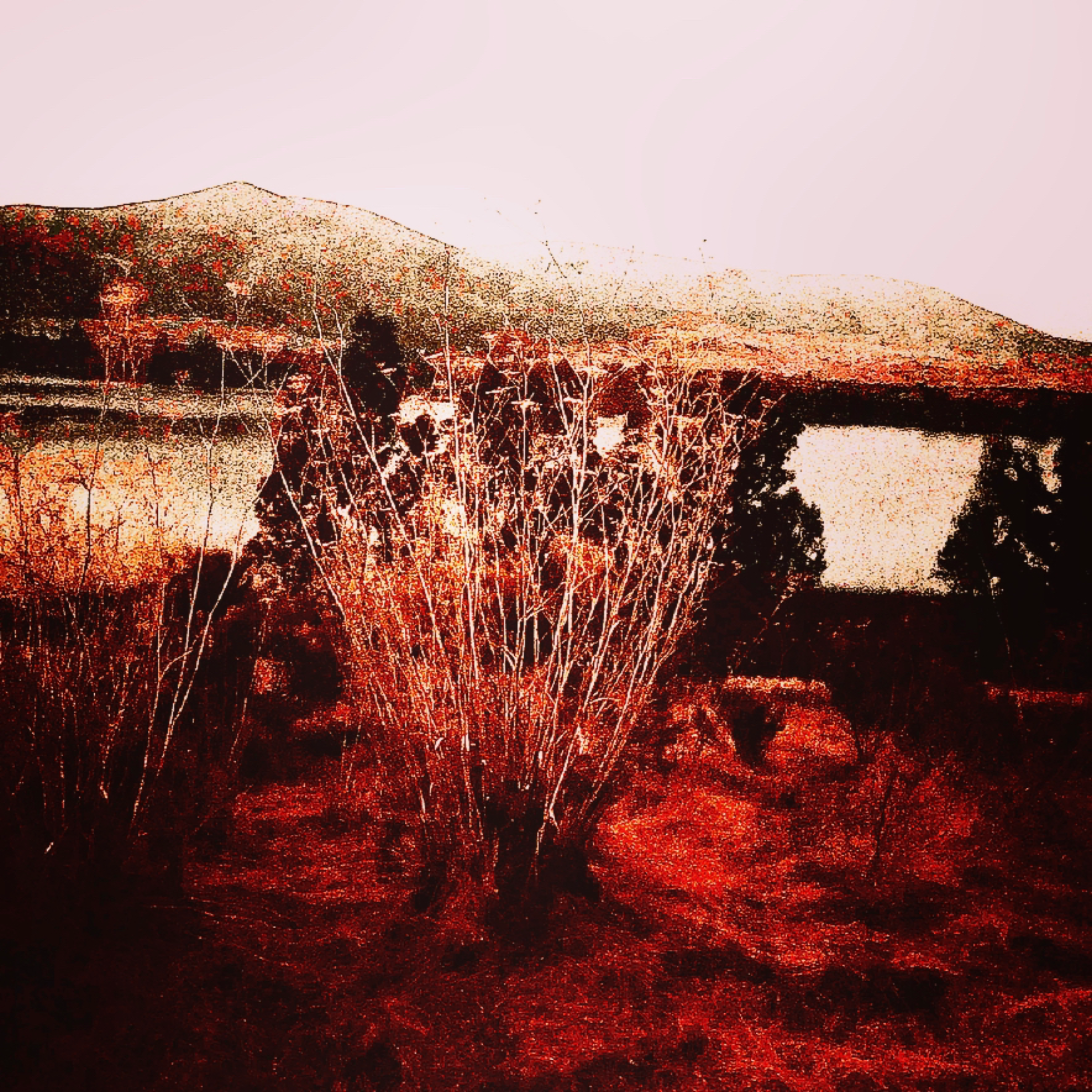 far away artwork