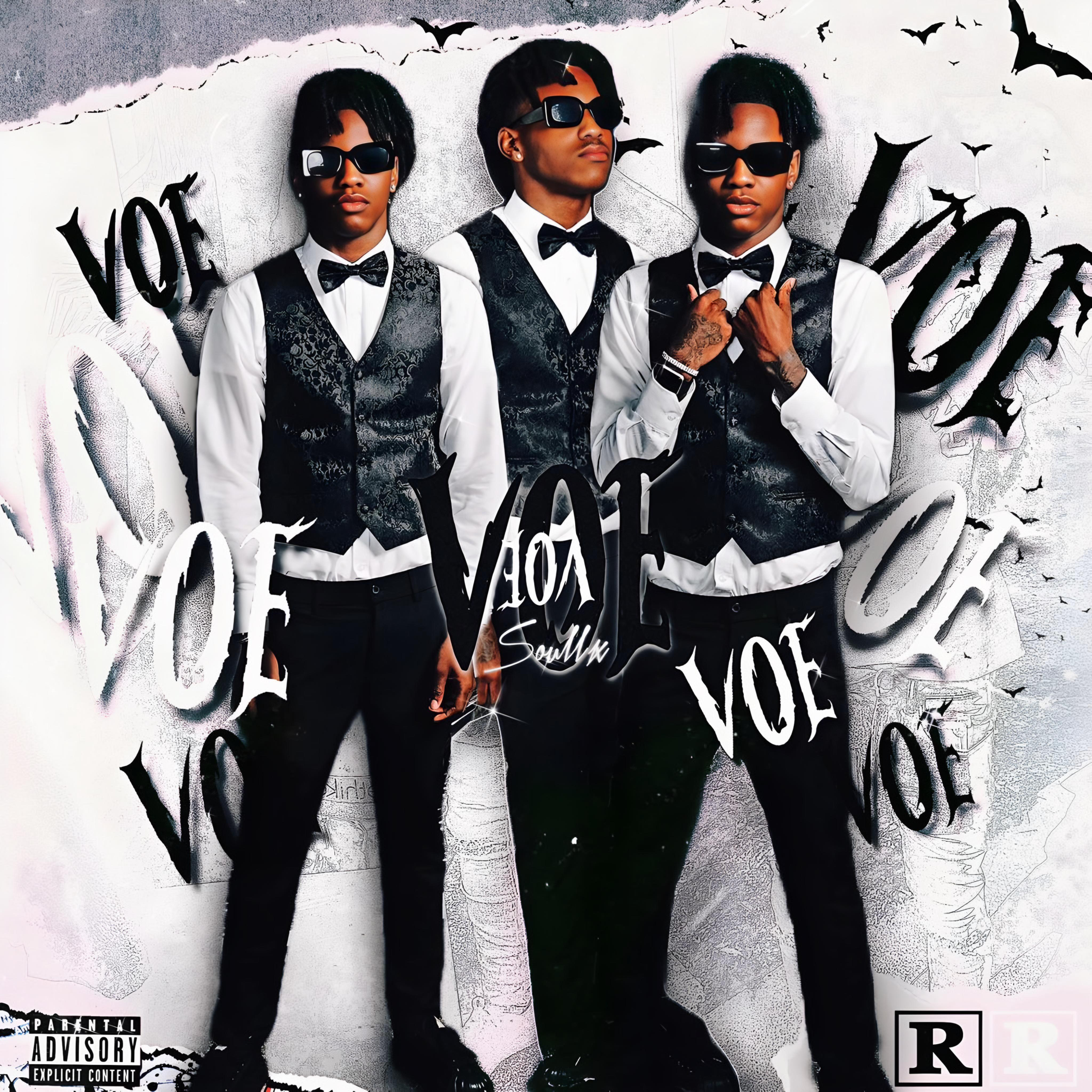 VOE by Soull1x cover art