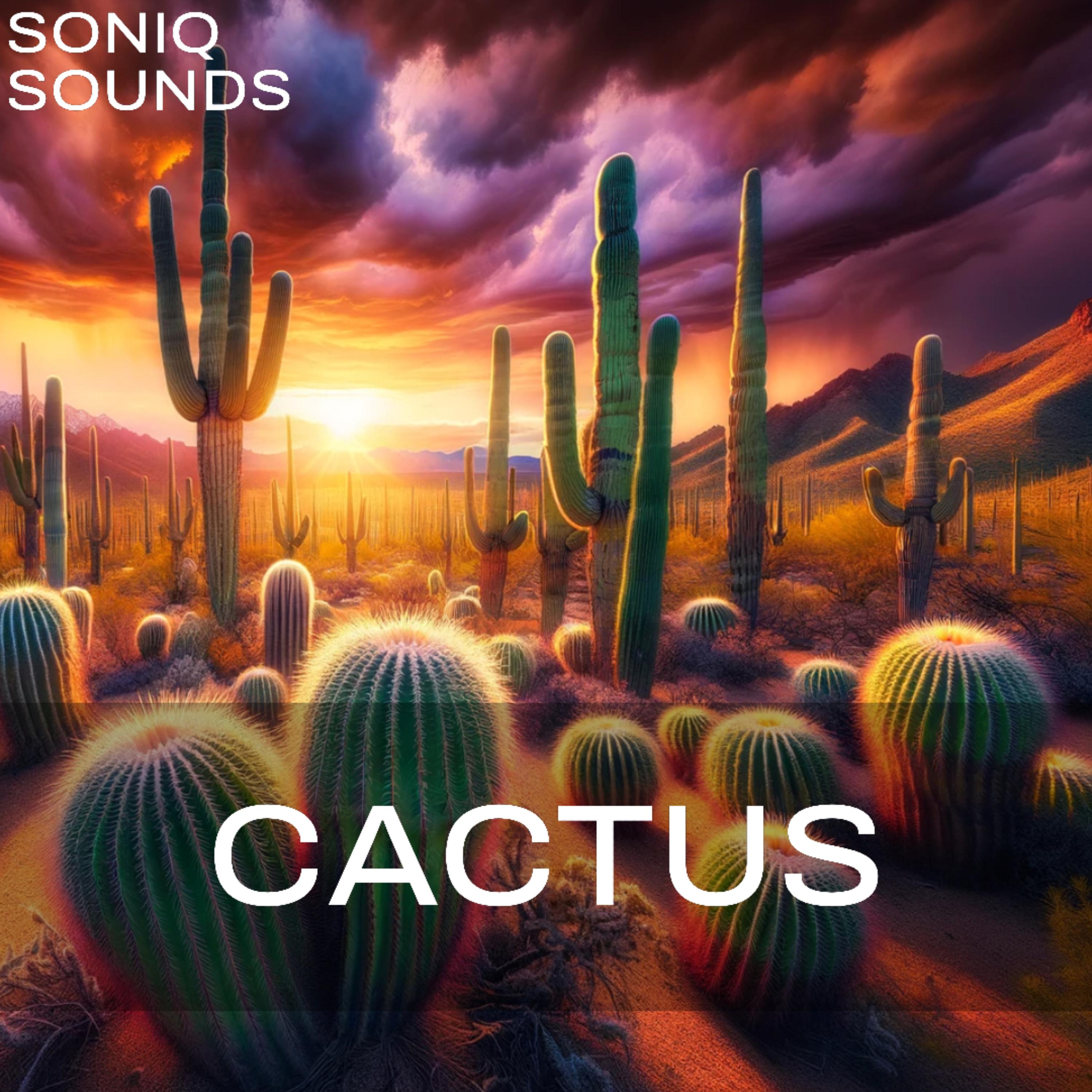 Cactus (Emotional Trap Instrumental) artwork
