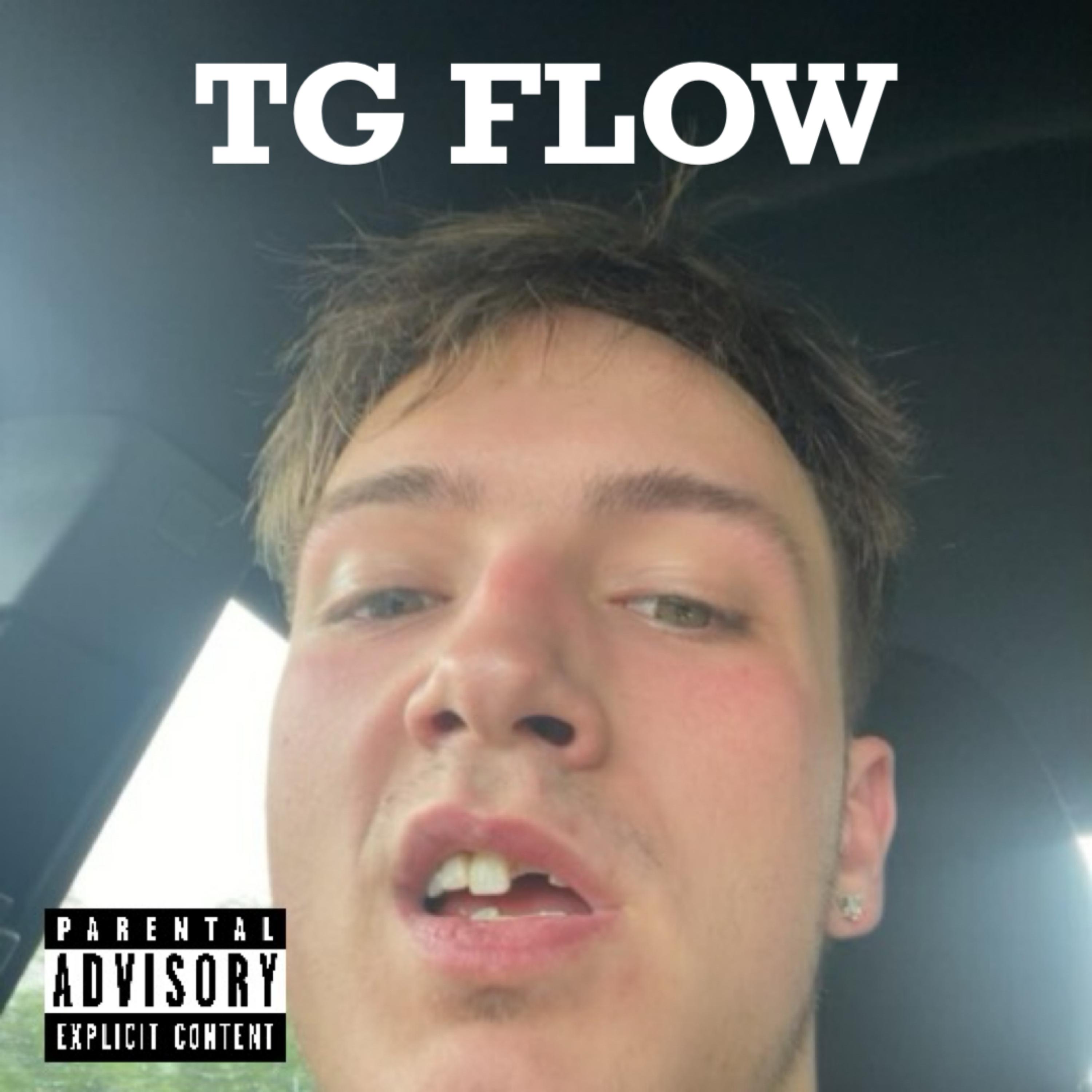 TG FLOW artwork