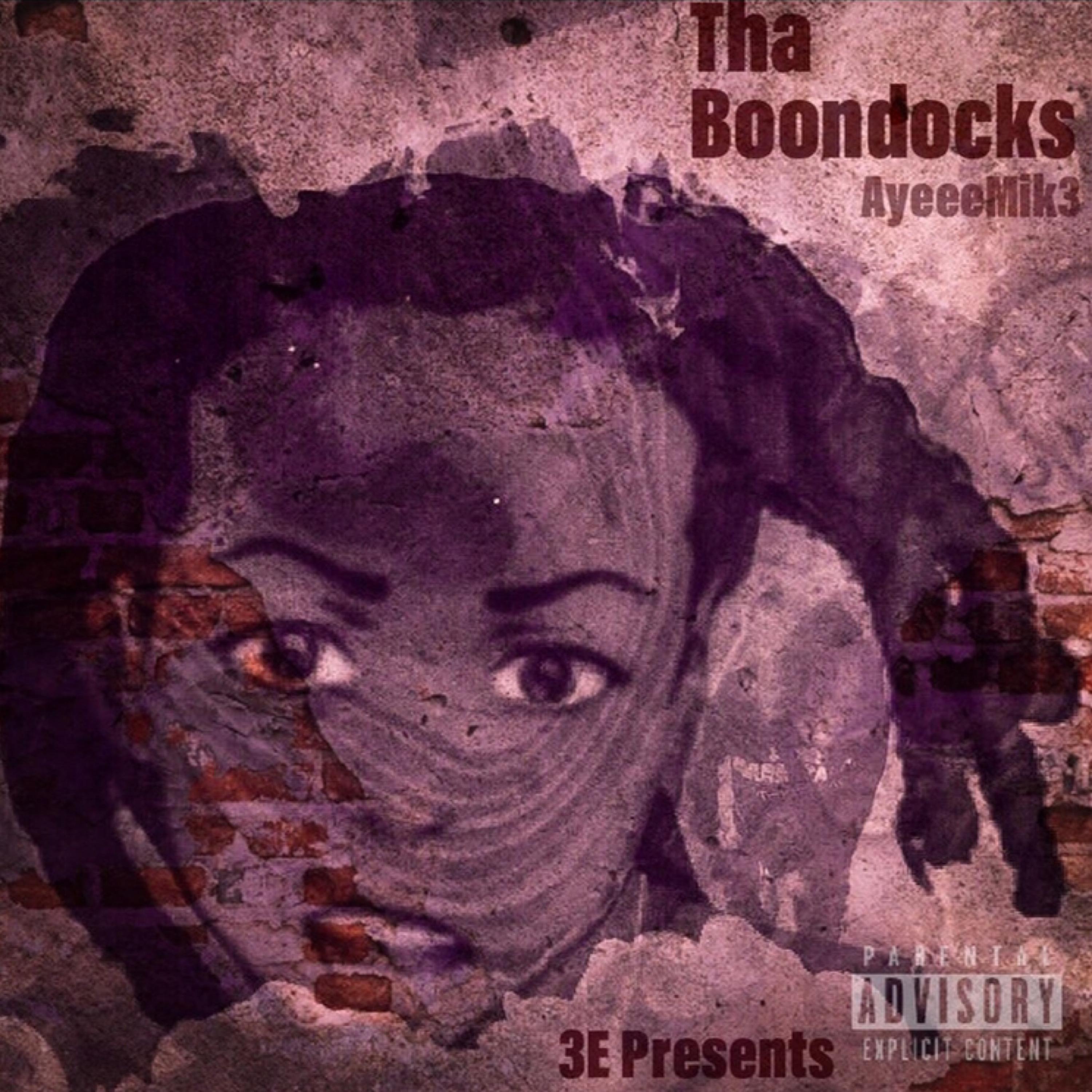 Tha Boondocks artwork