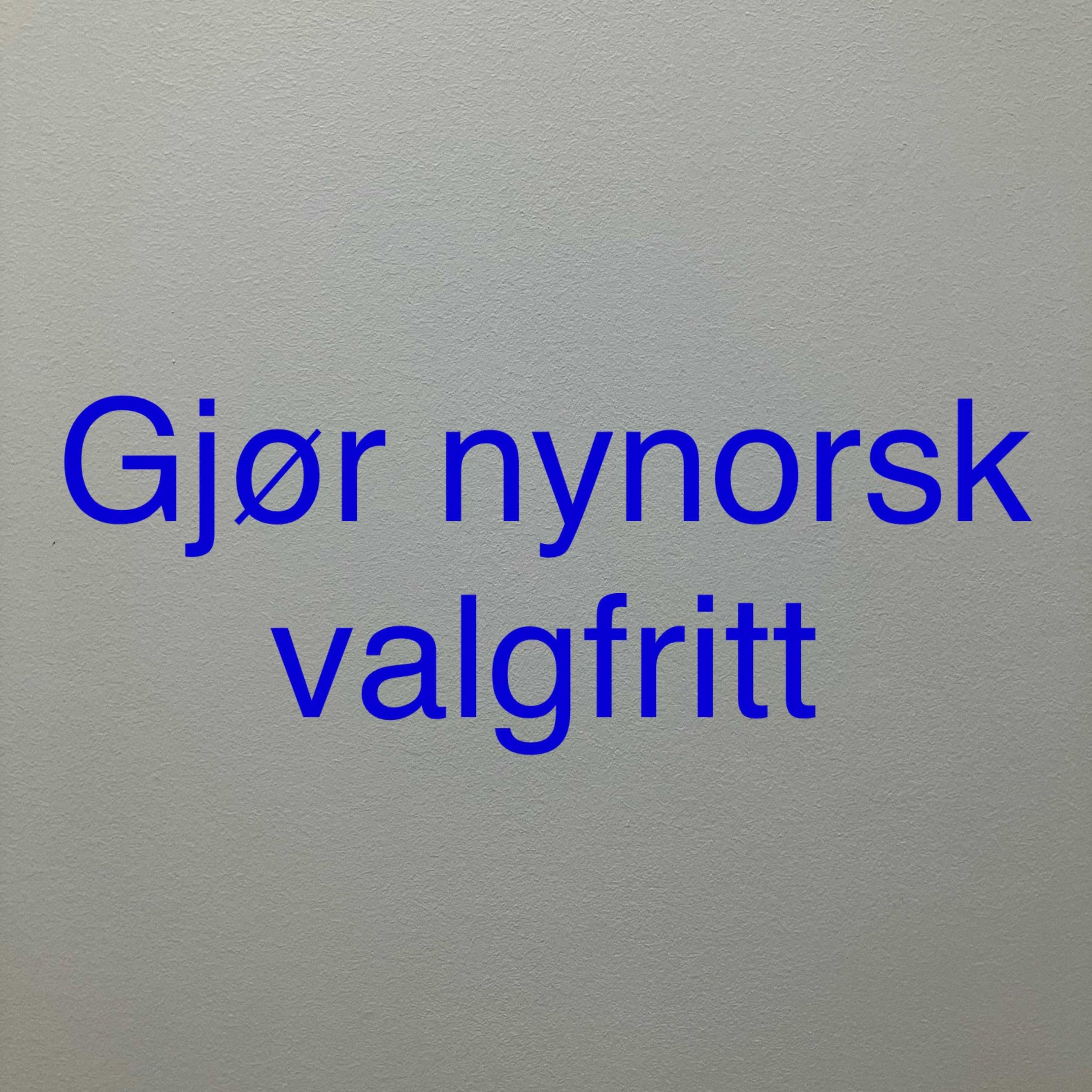Gjør Nynorsk Valgfritt artwork