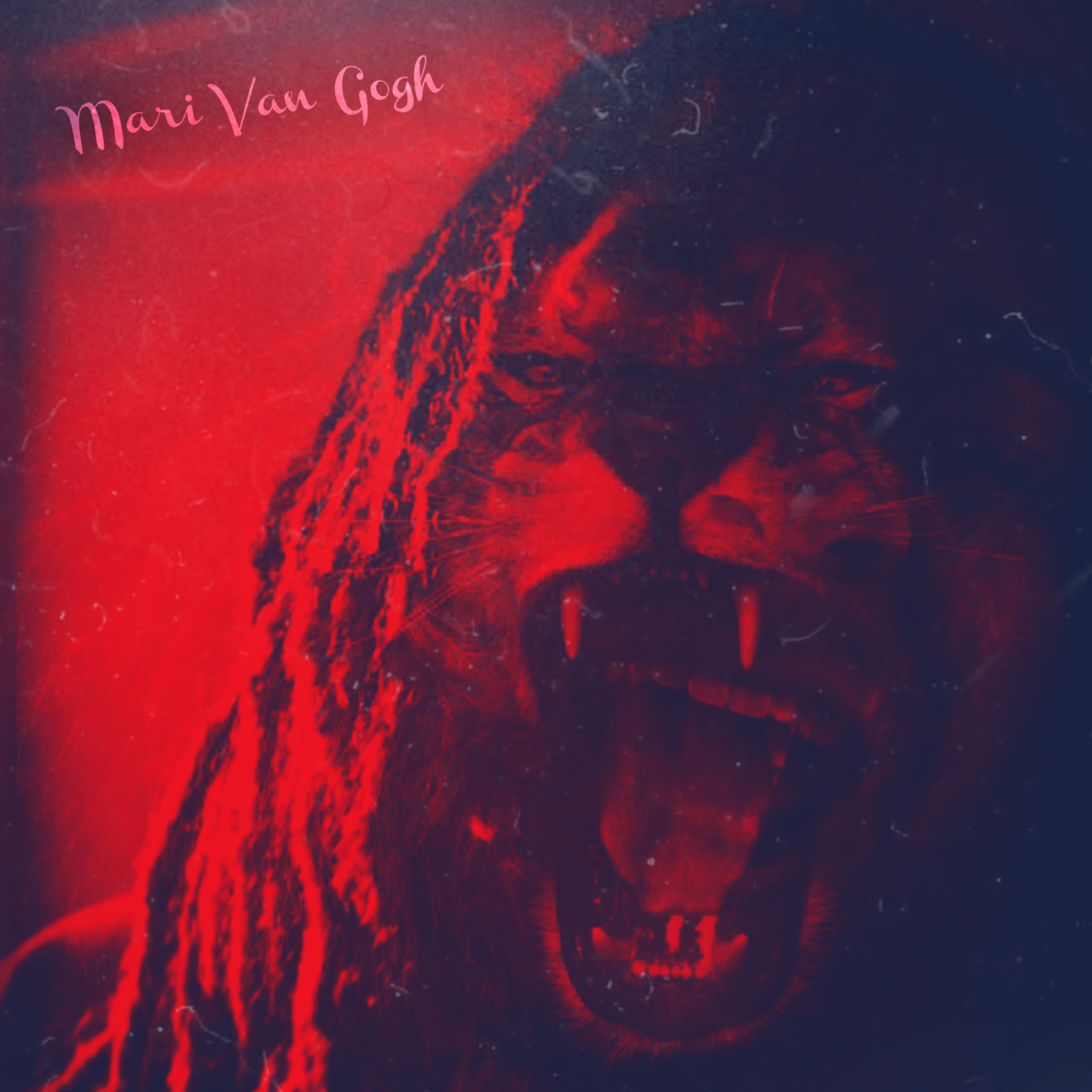 Mari Van Gogh (Collection) artwork