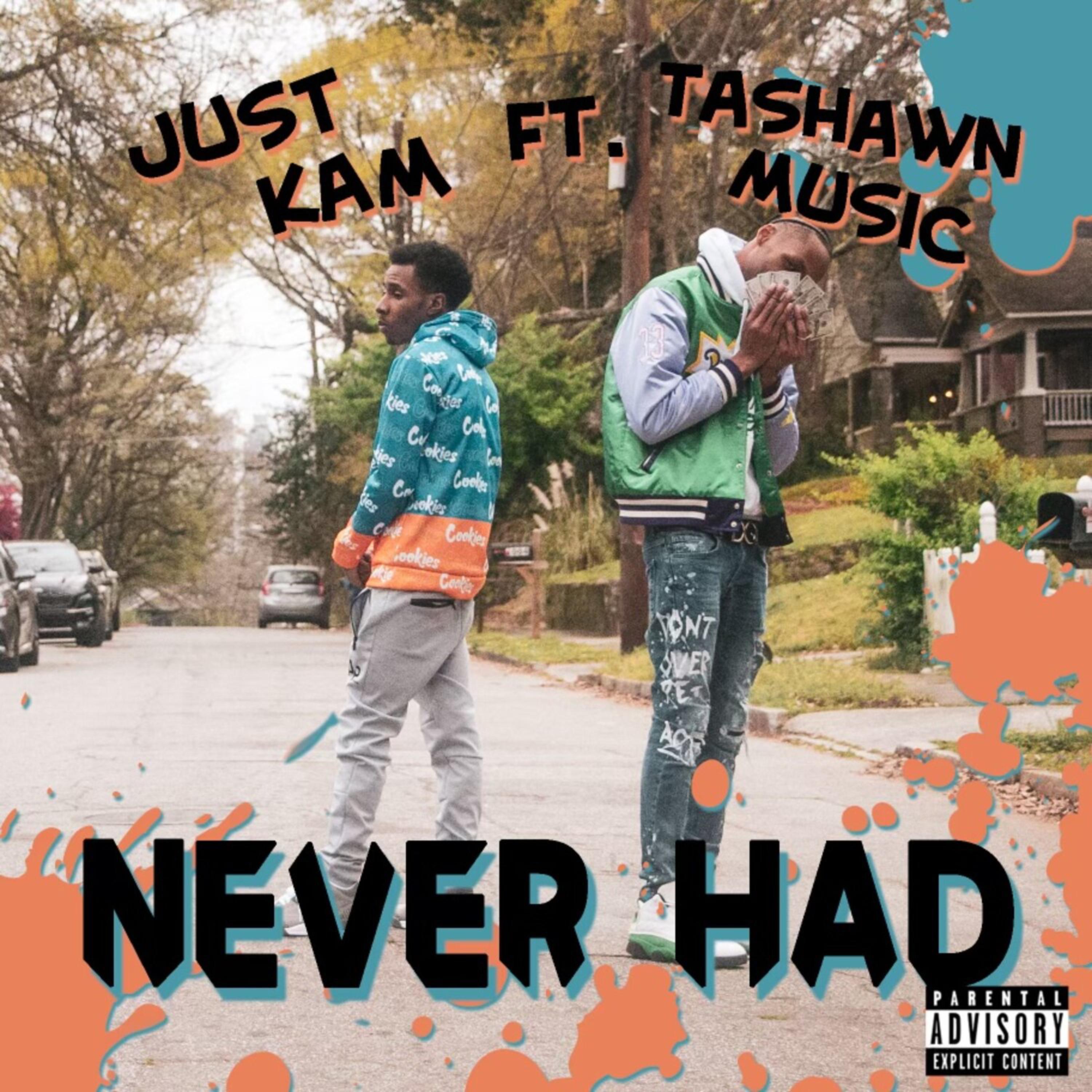 Never Had artwork