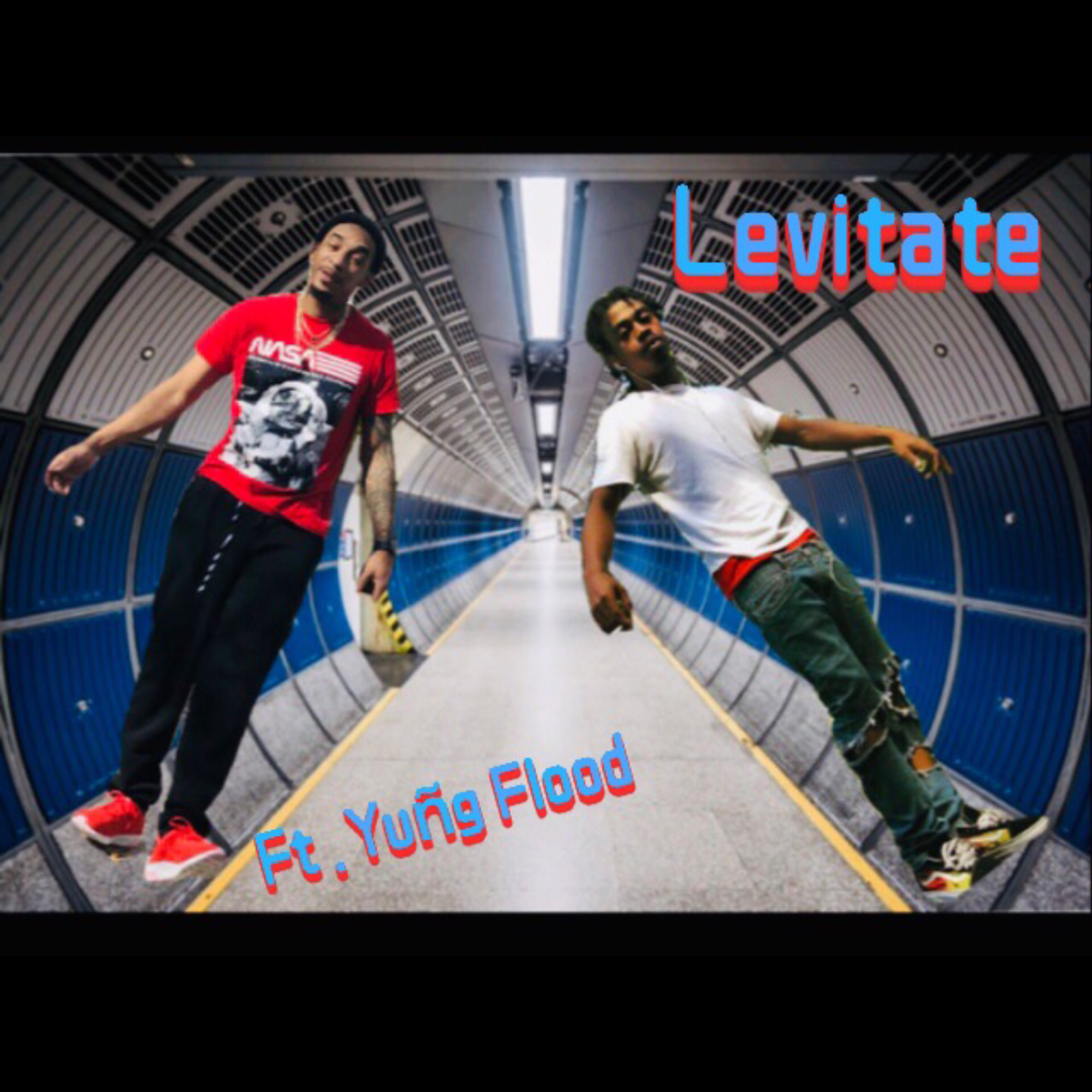 Levitate artwork