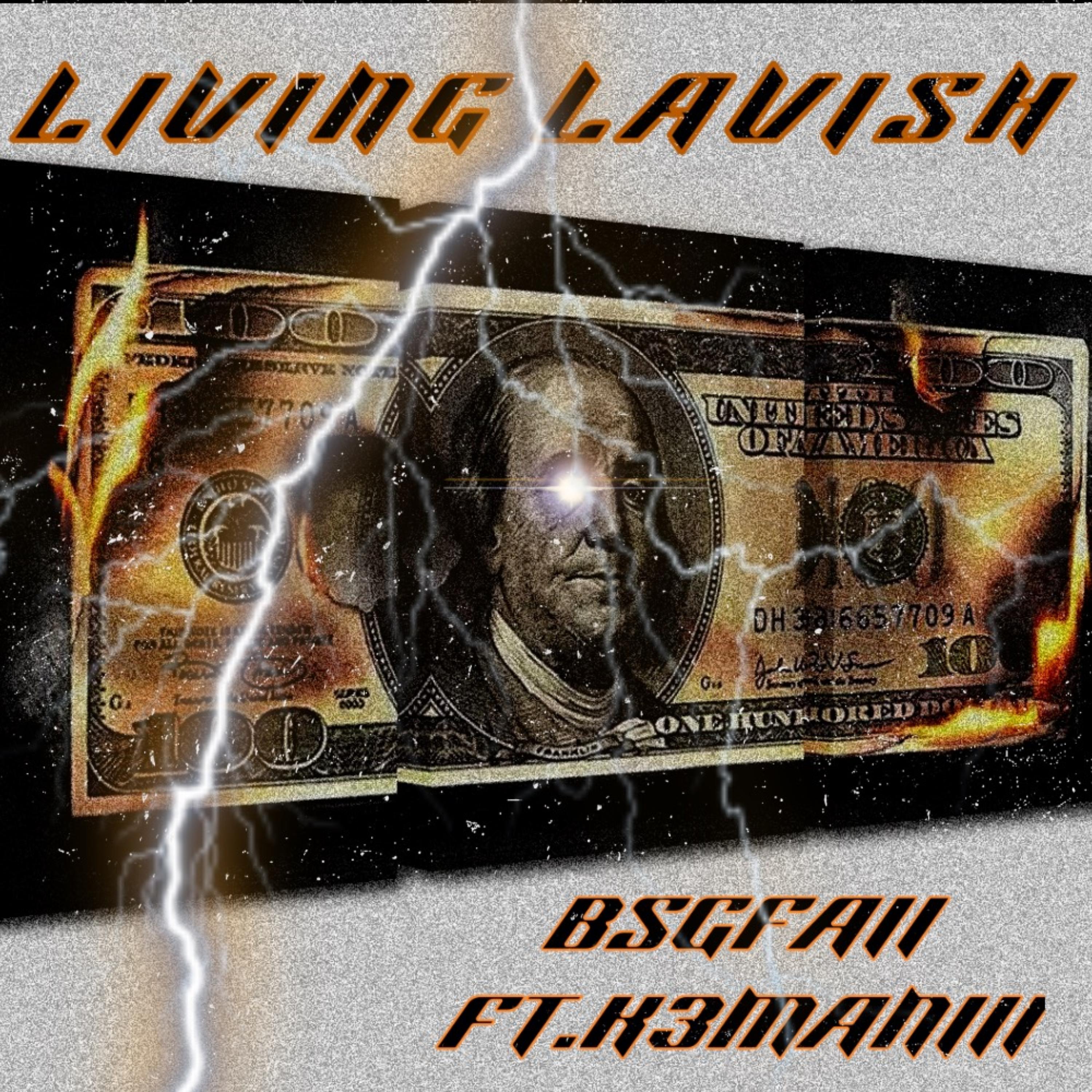 LIVING LAVISH artwork