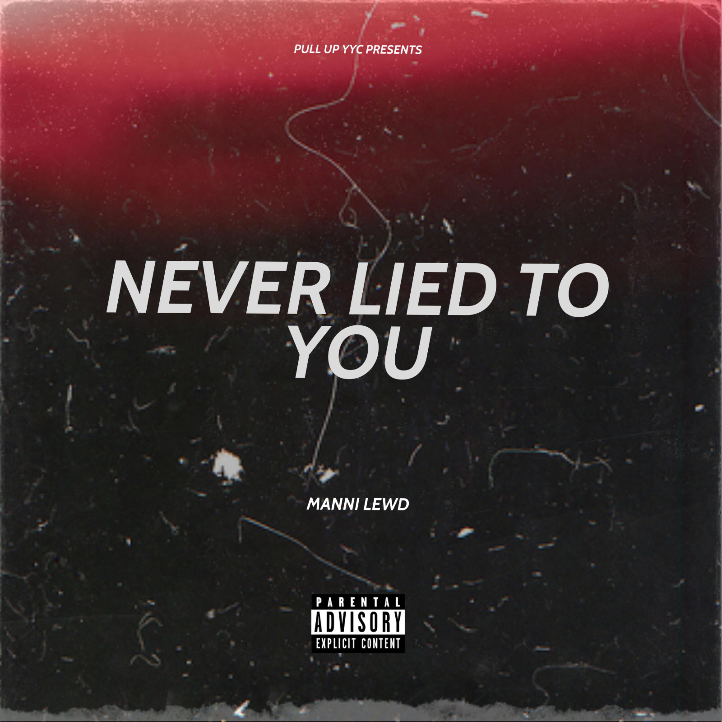 NEVER LIED TO YOU artwork
