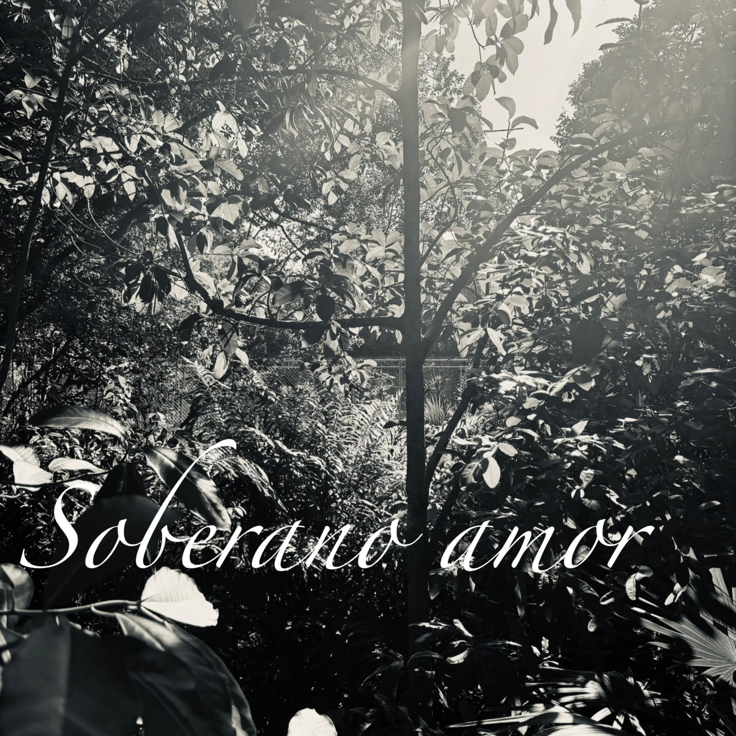 Soberano Amor artwork
