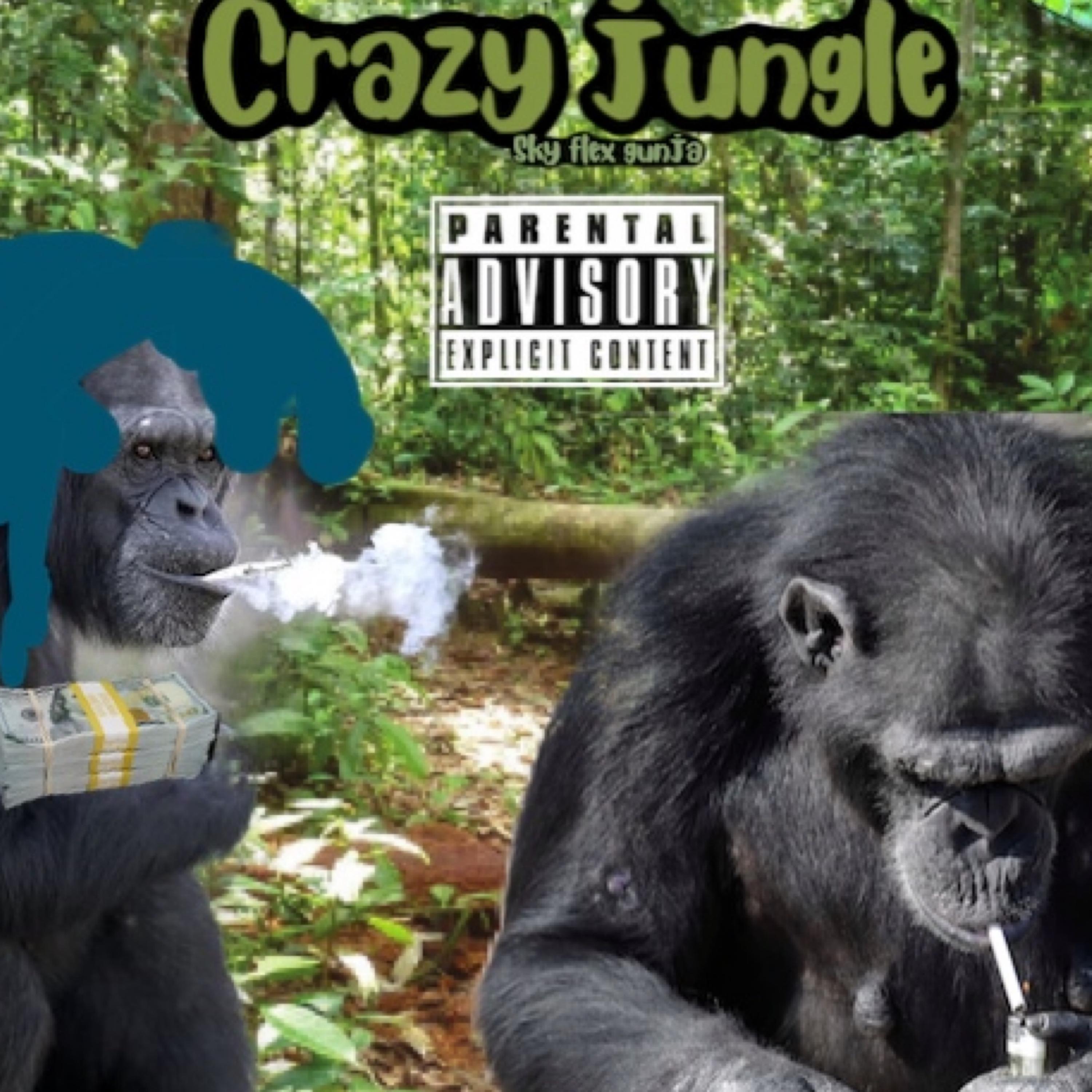 Crazy Jungle artwork