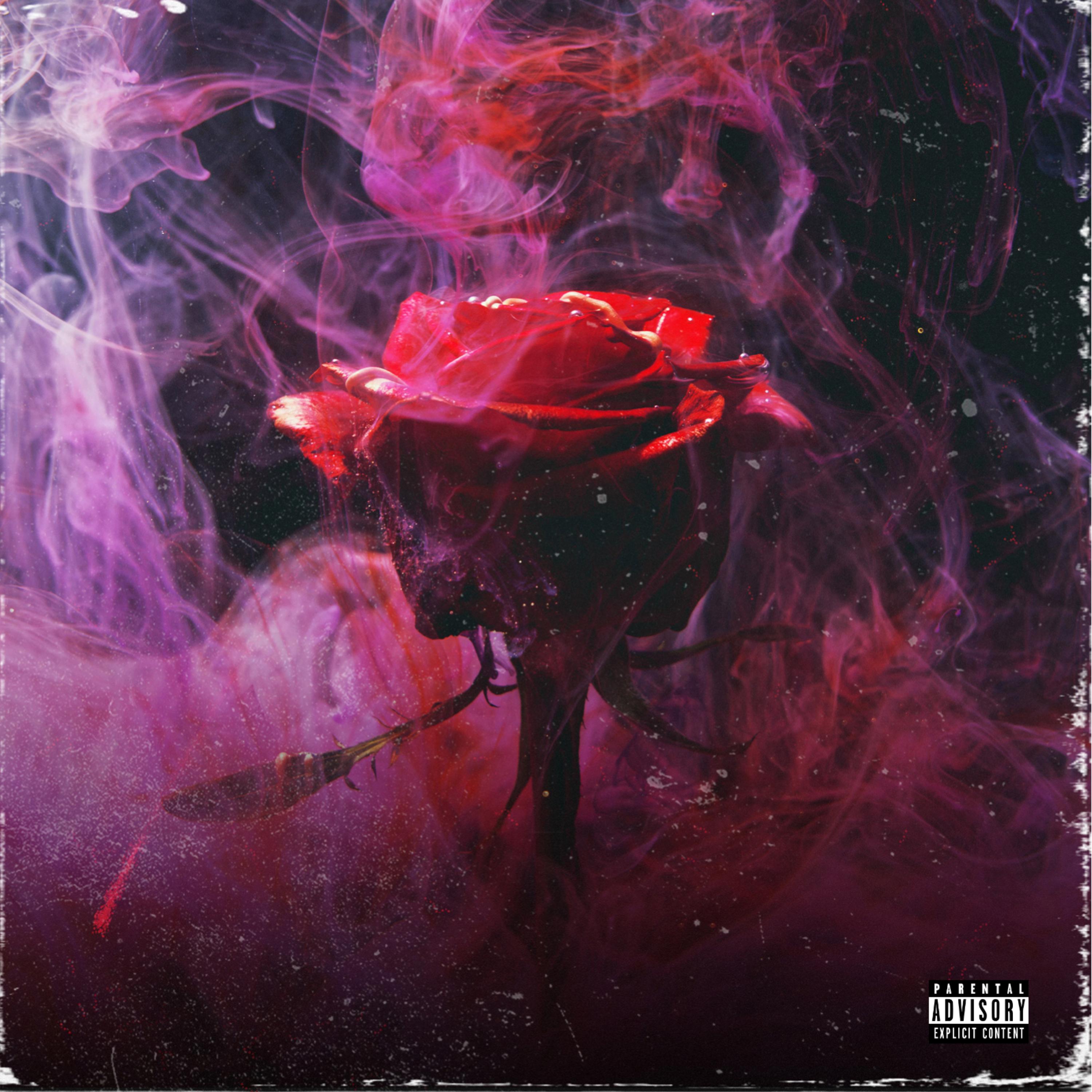 P & P artwork