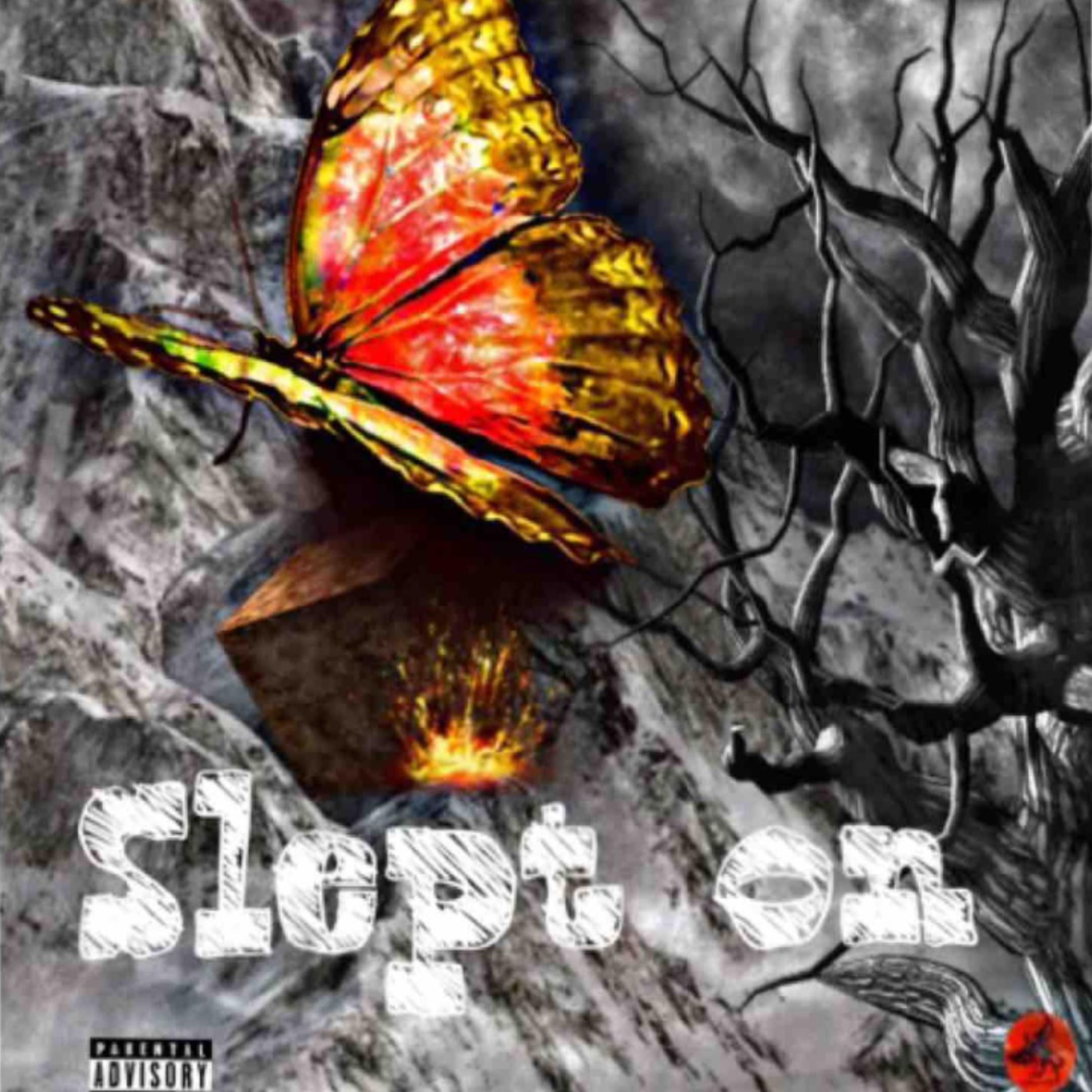 Slept On by Youngashad cover art
