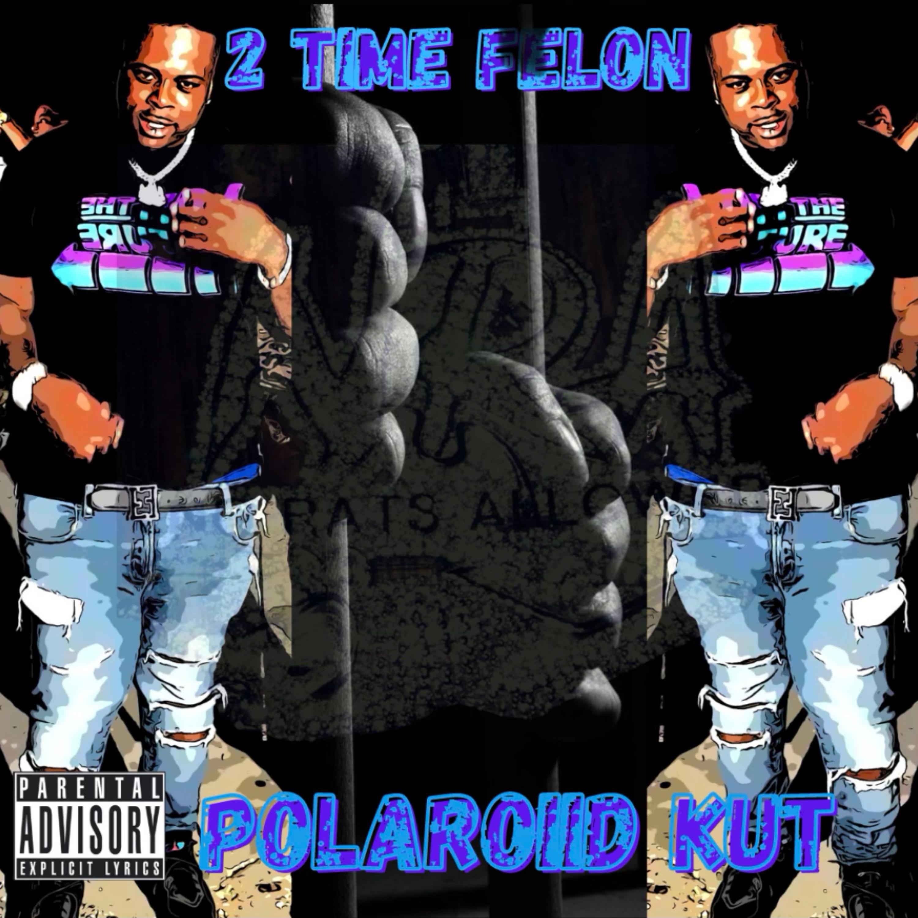 2 Time Felon artwork