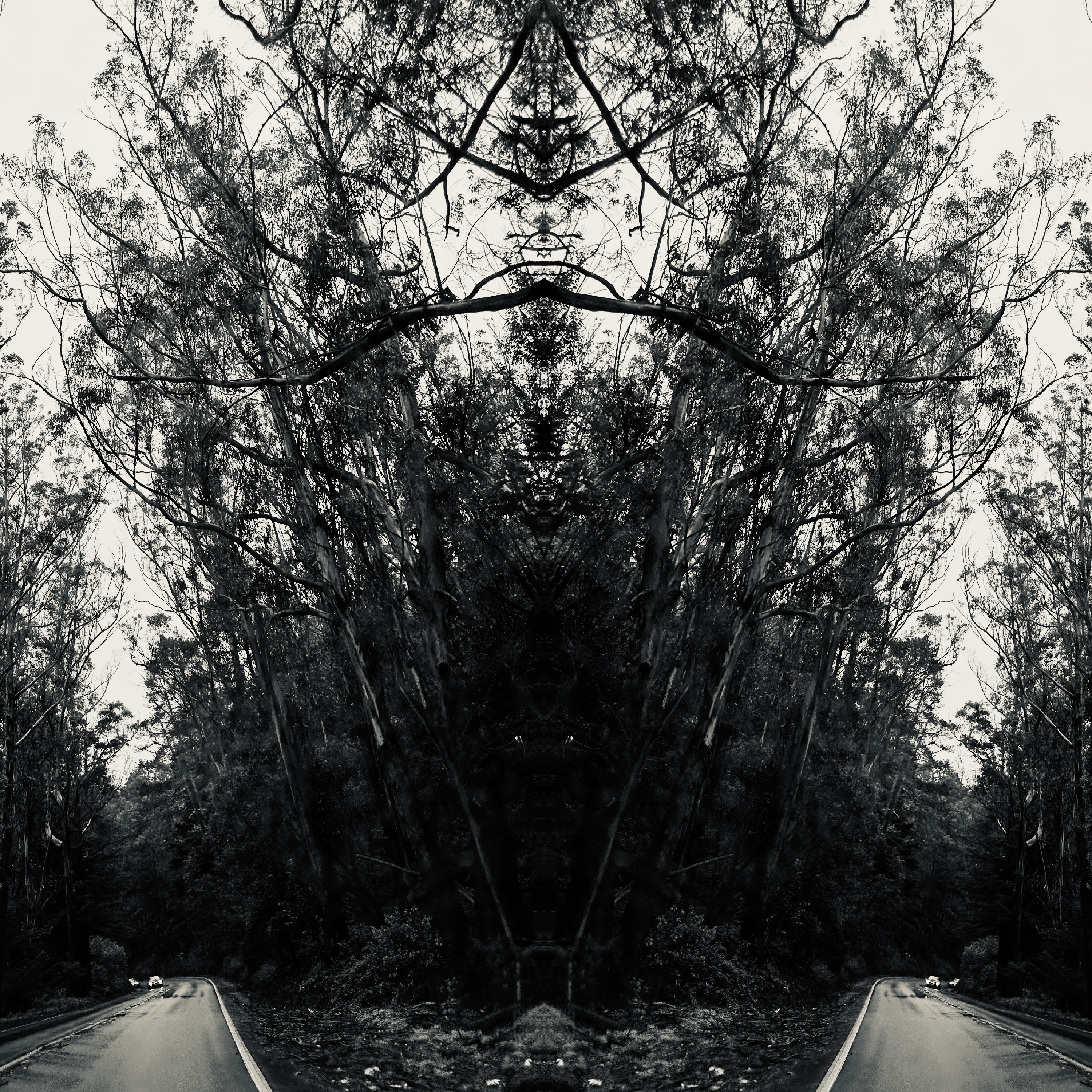 Eclectic Metrics artwork