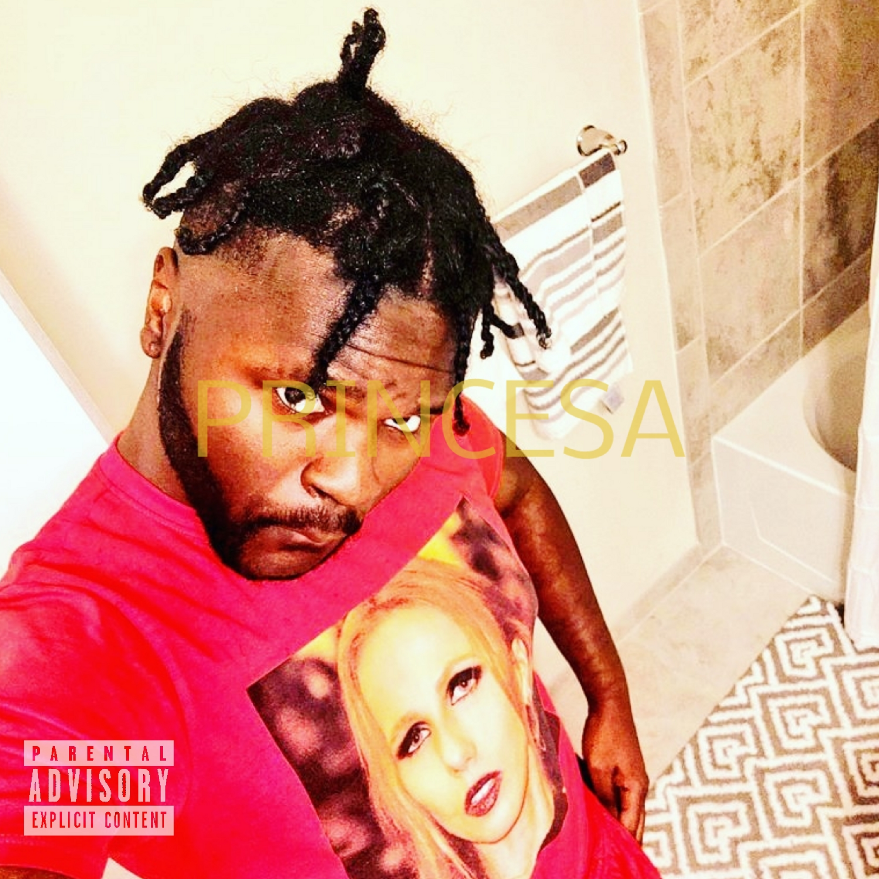 Princesa artwork