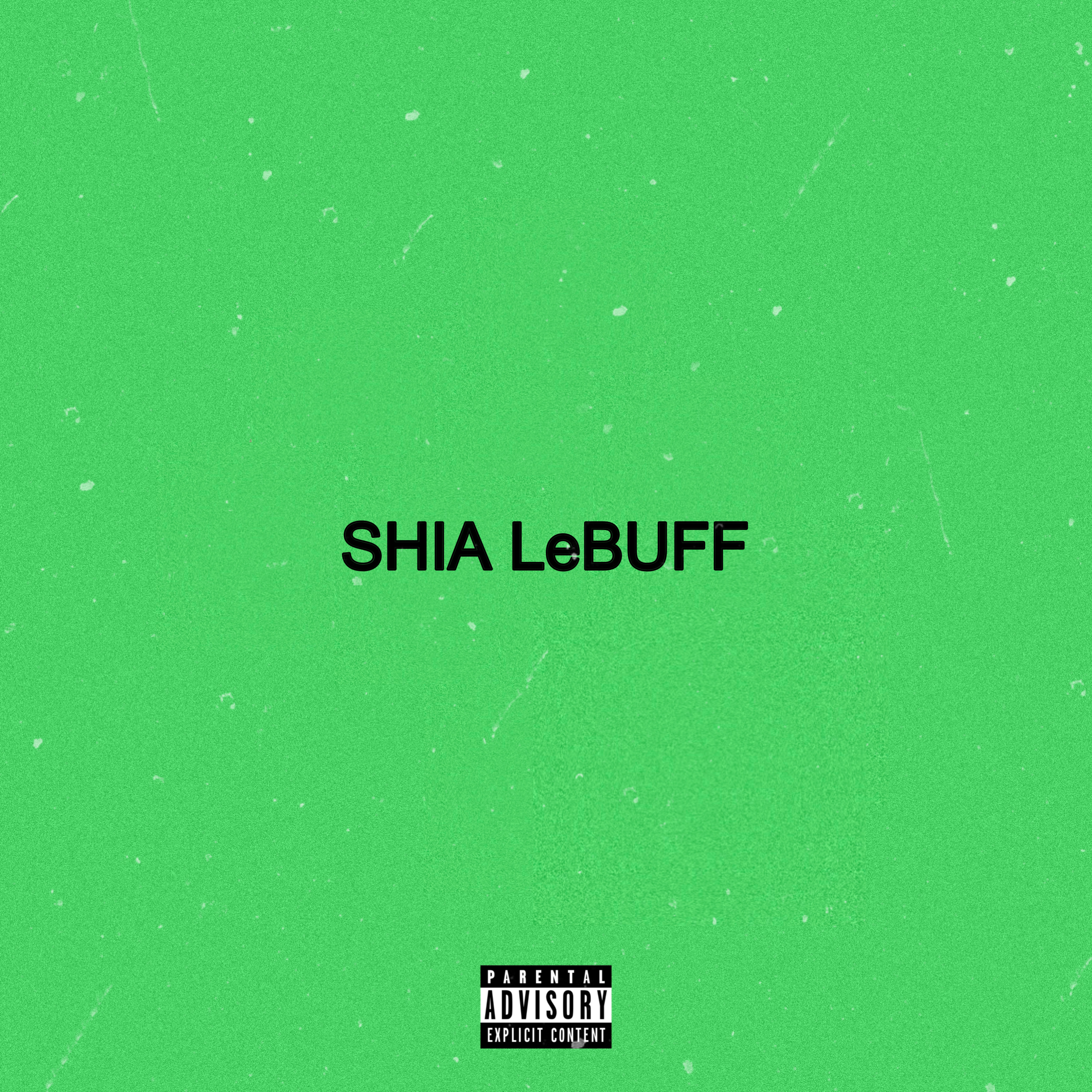 SHIA LeBUFF artwork