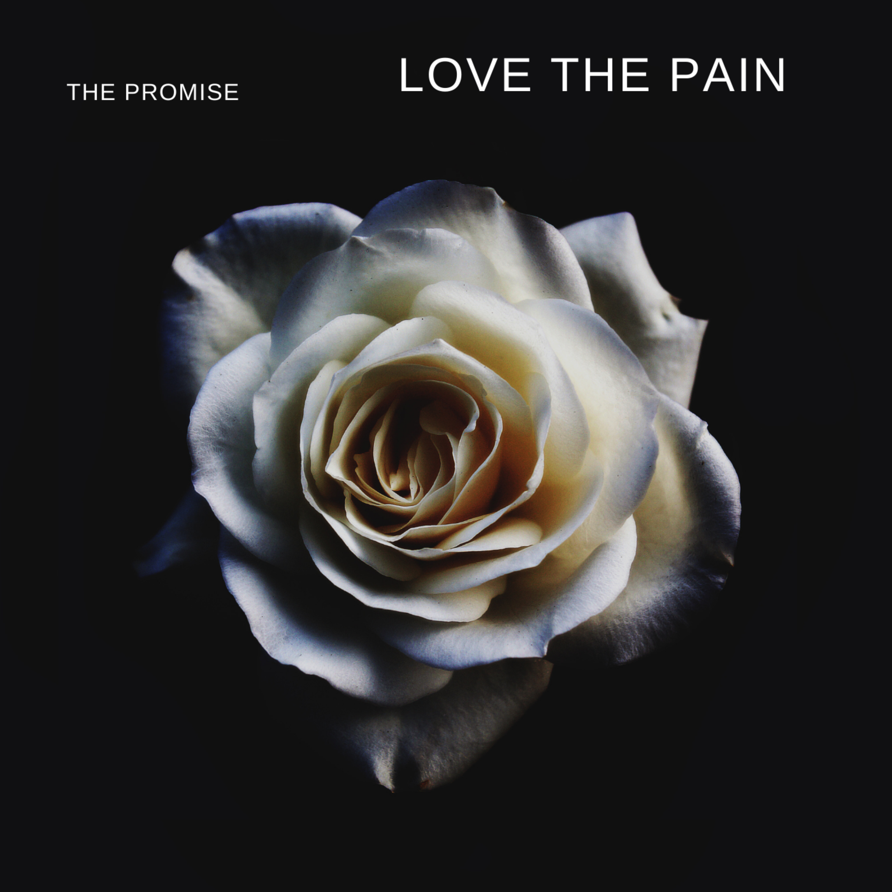 Love The Pain artwork
