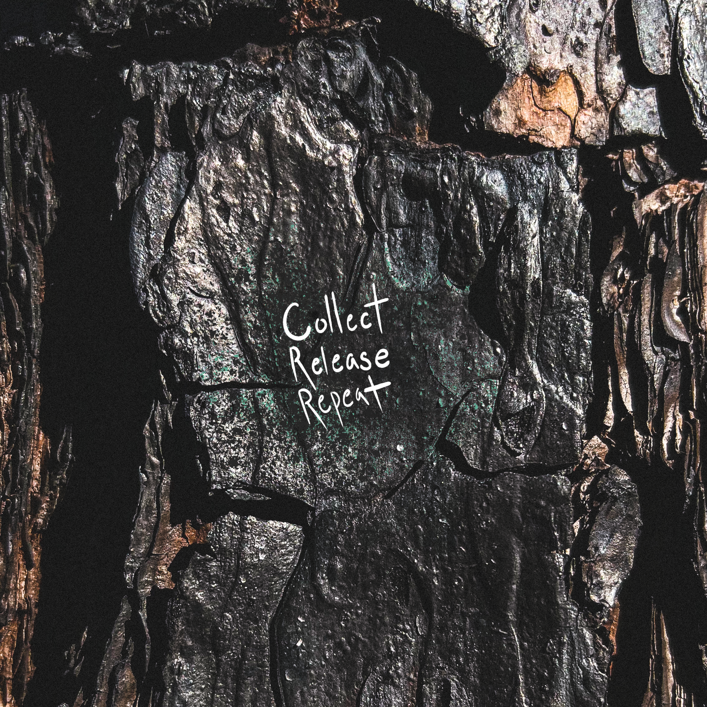 Collect, Release, Repeat artwork