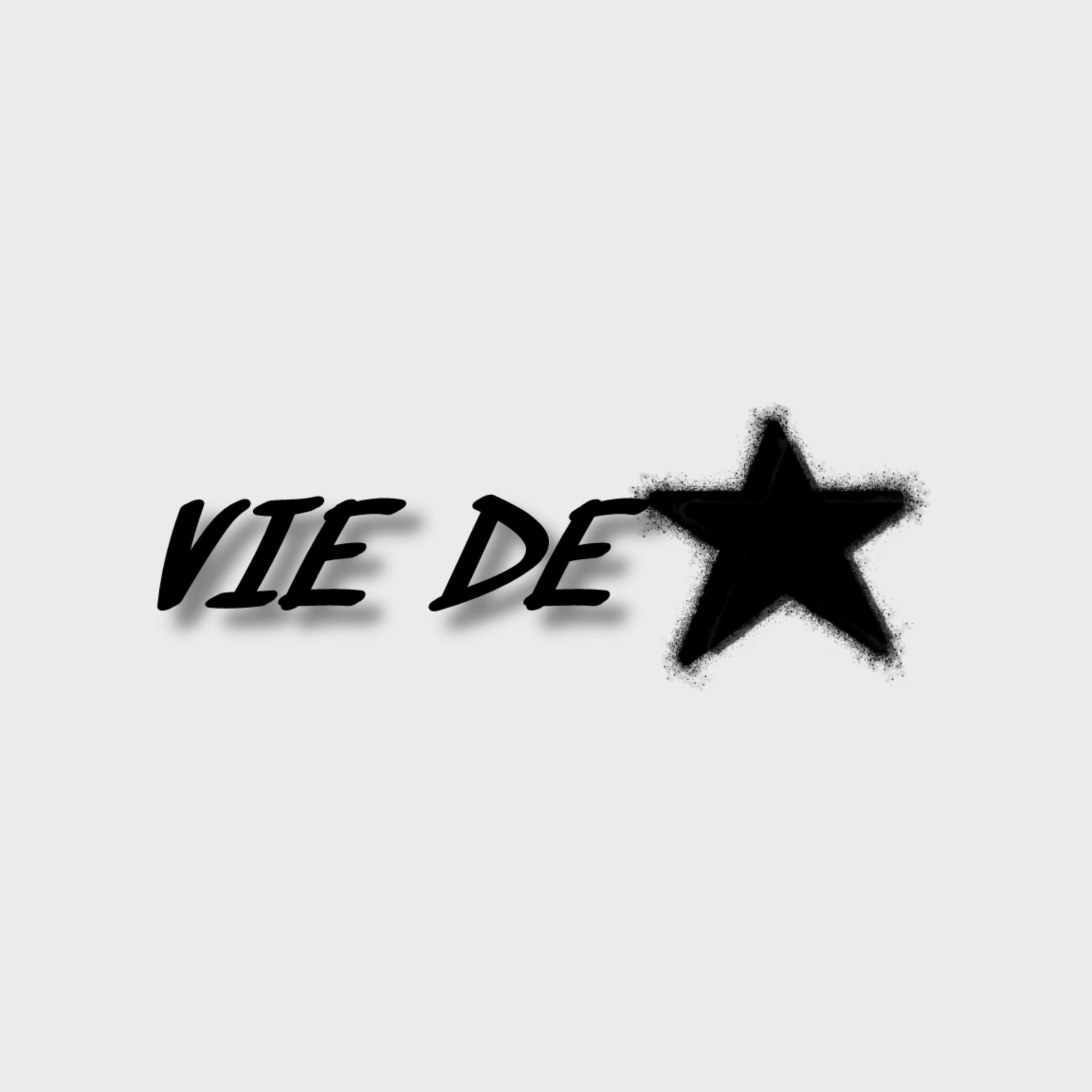 Vie De Star artwork
