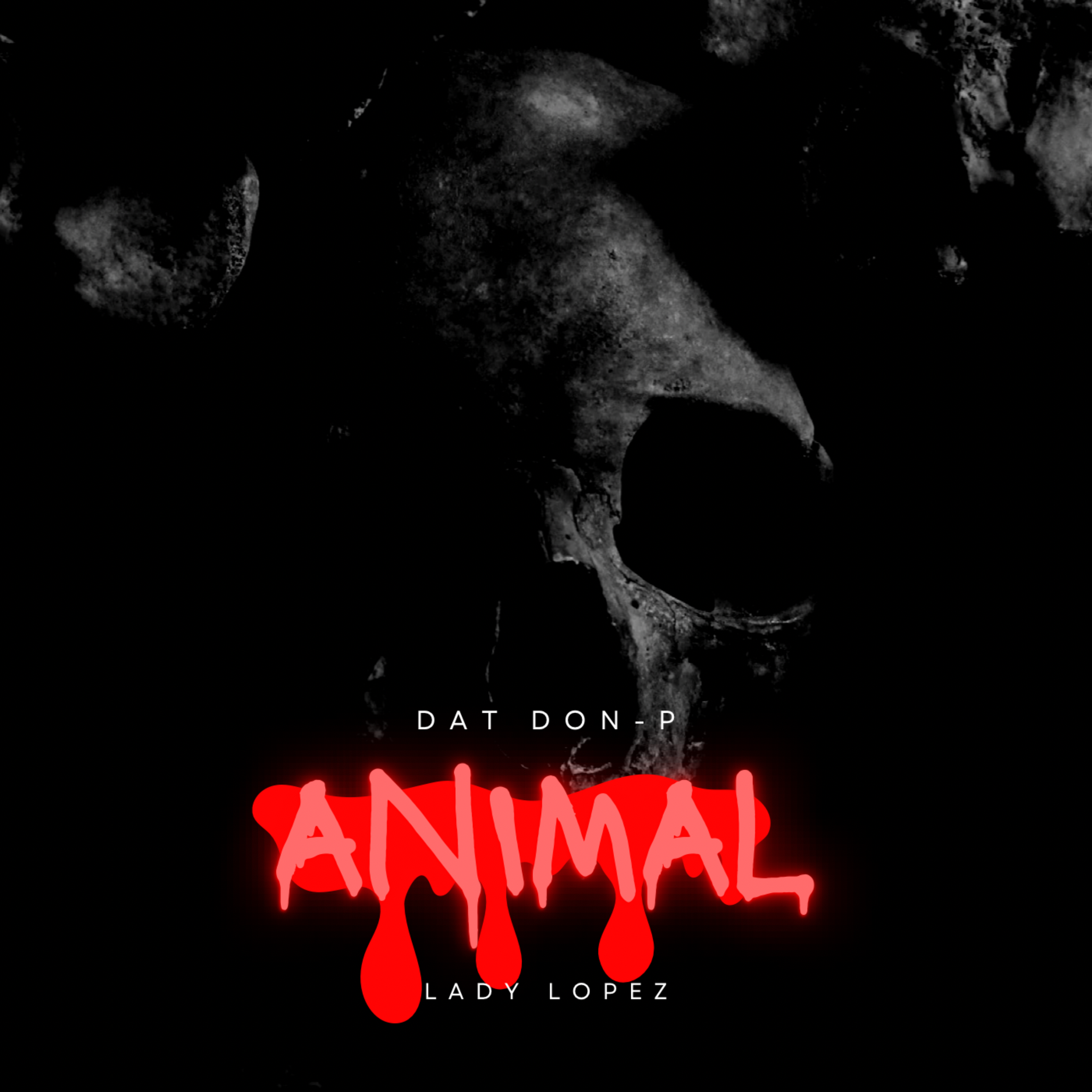 Animal artwork