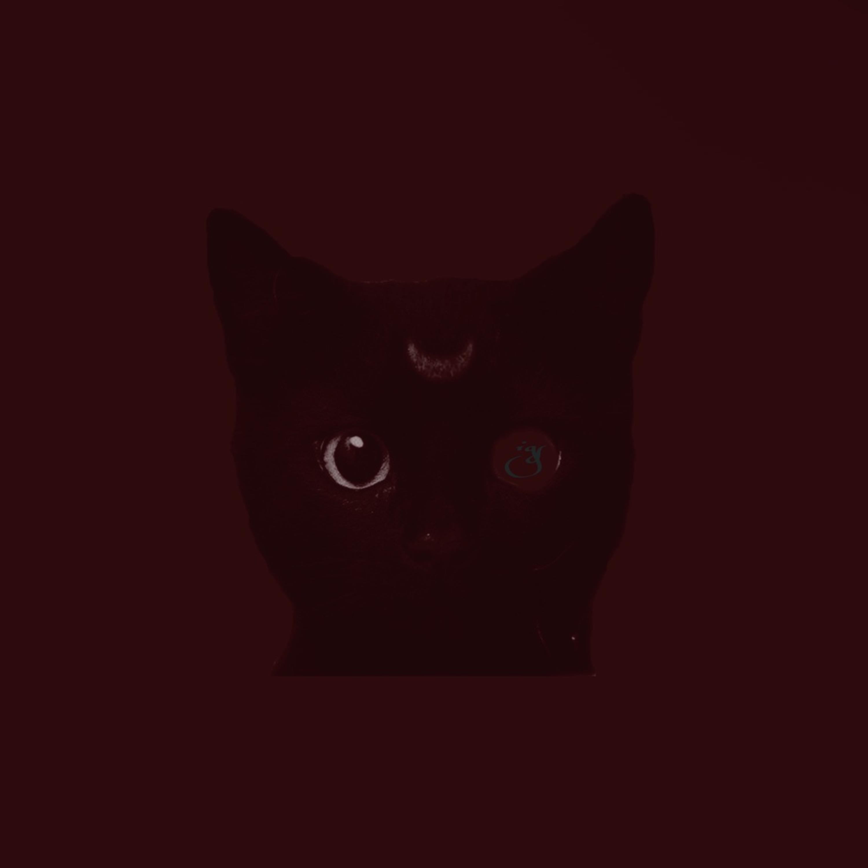 Dajjal by issarealdeadlove cover art
