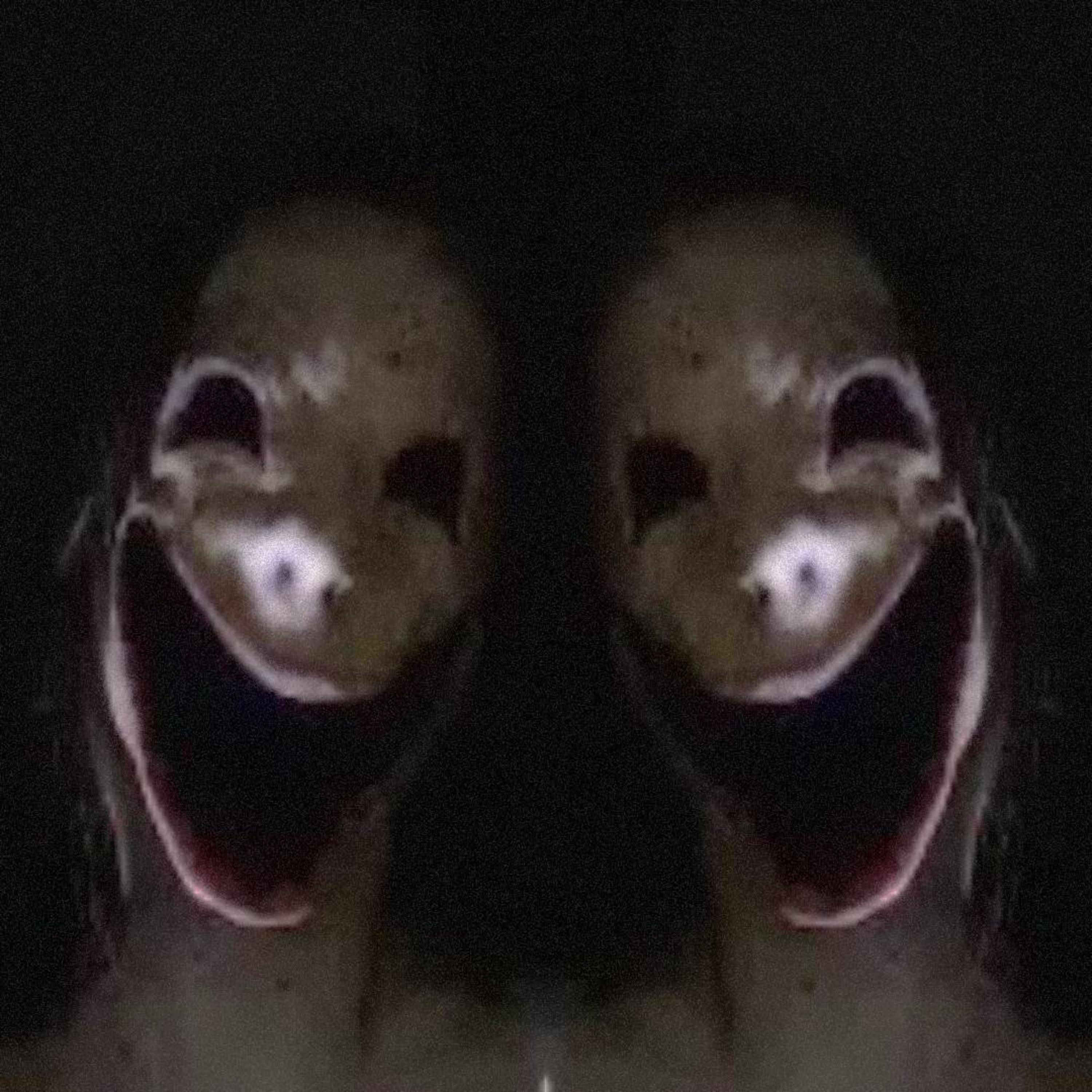 Doppelgänger artwork