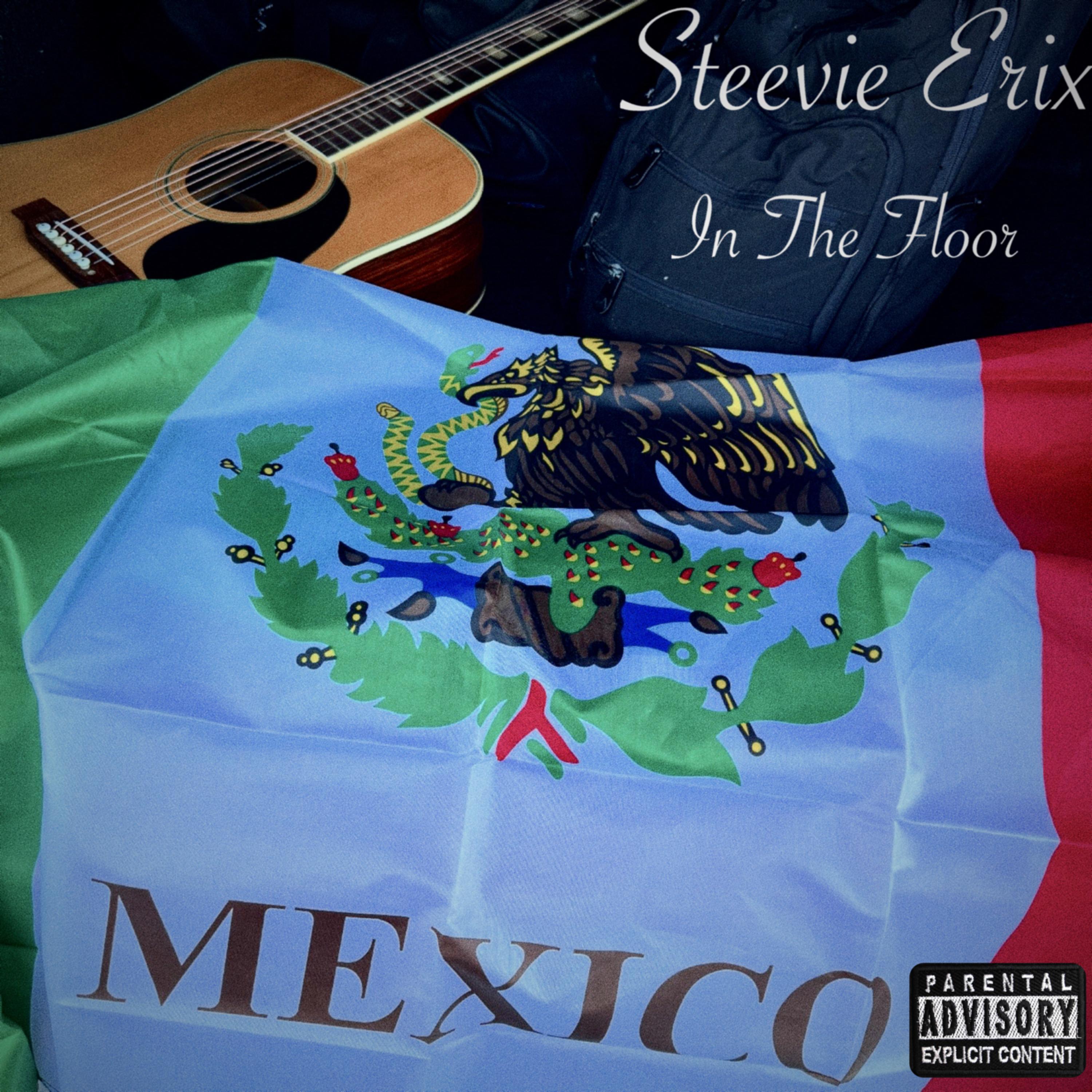 In The Floor by Steevie Erix cover art