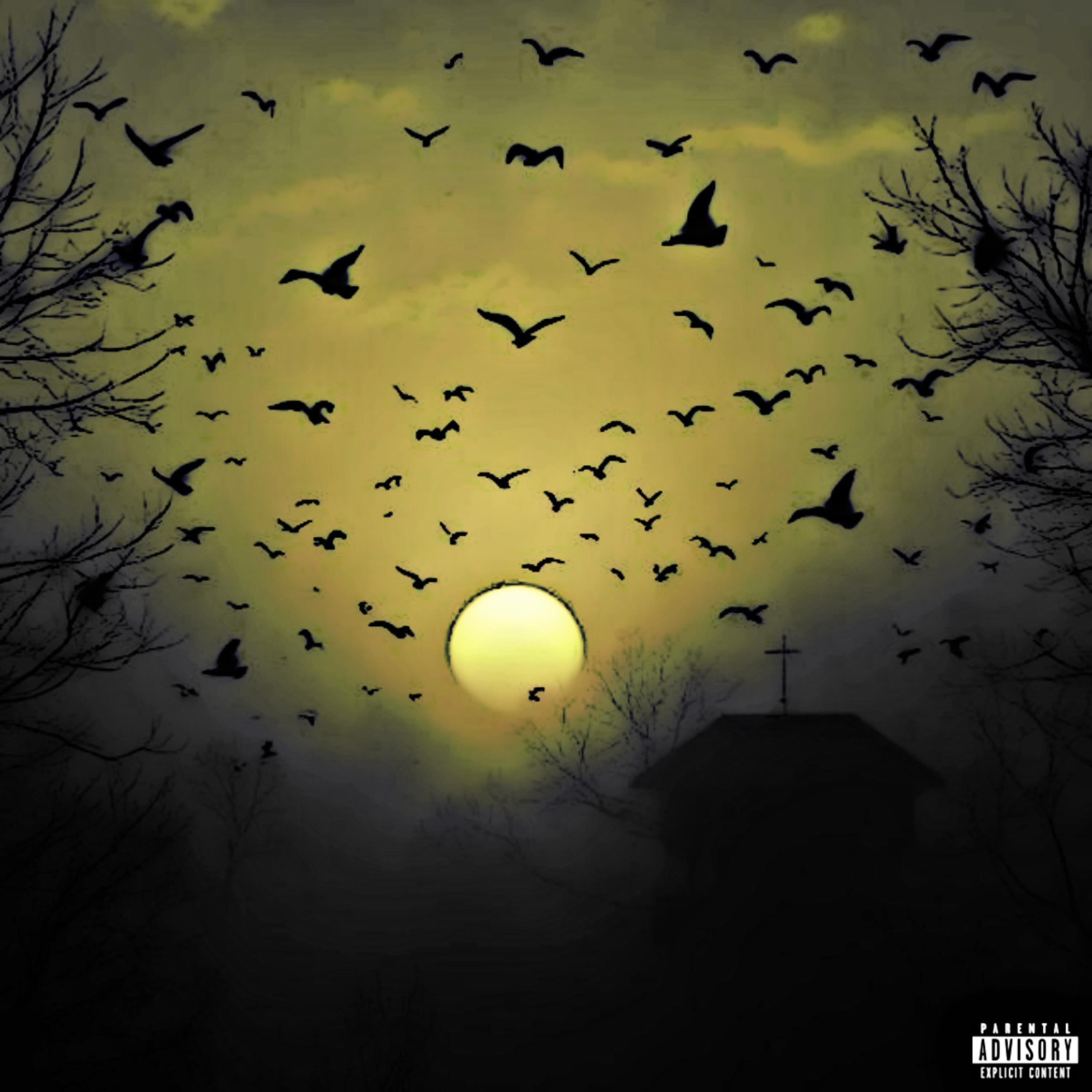 Birds artwork