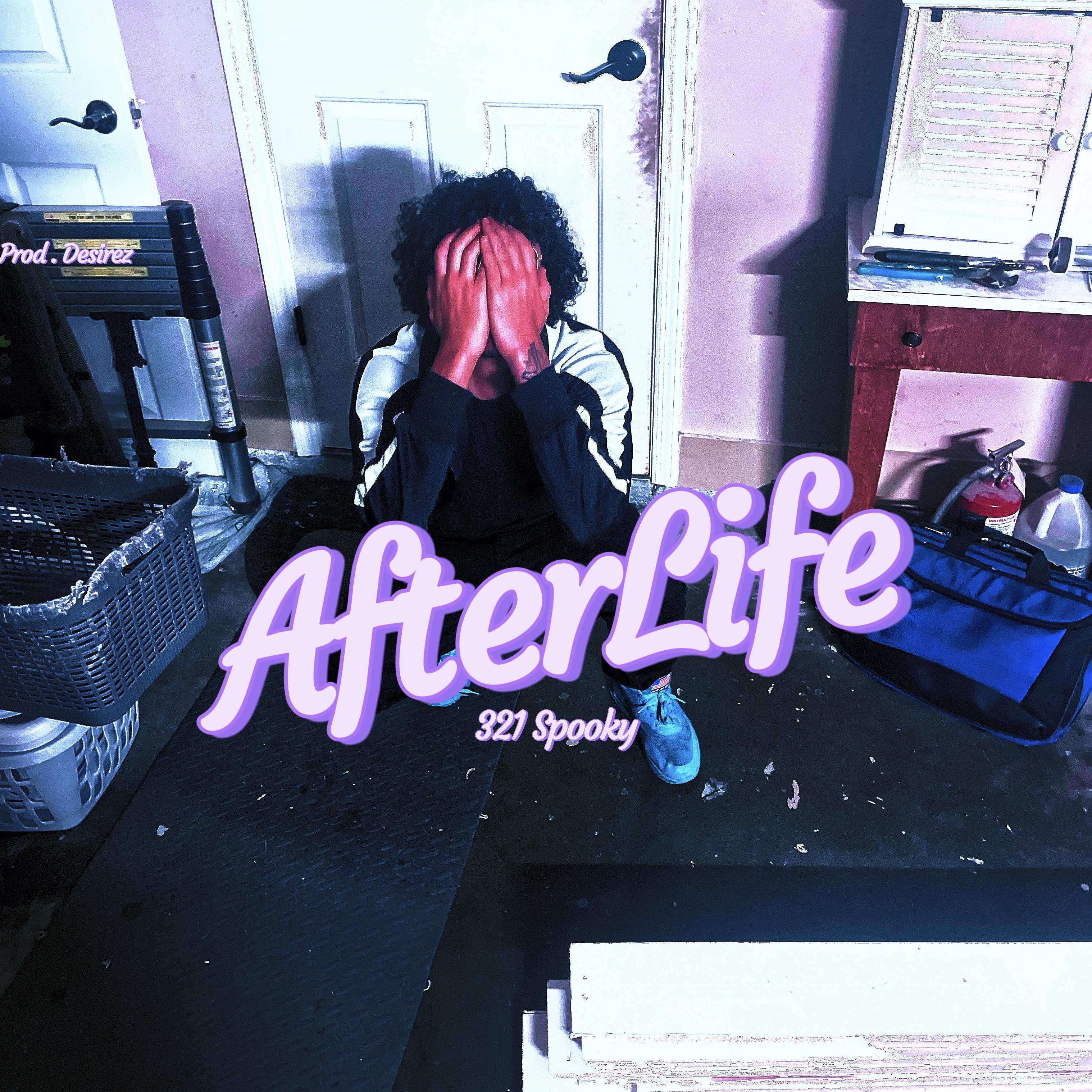 AfterLife artwork