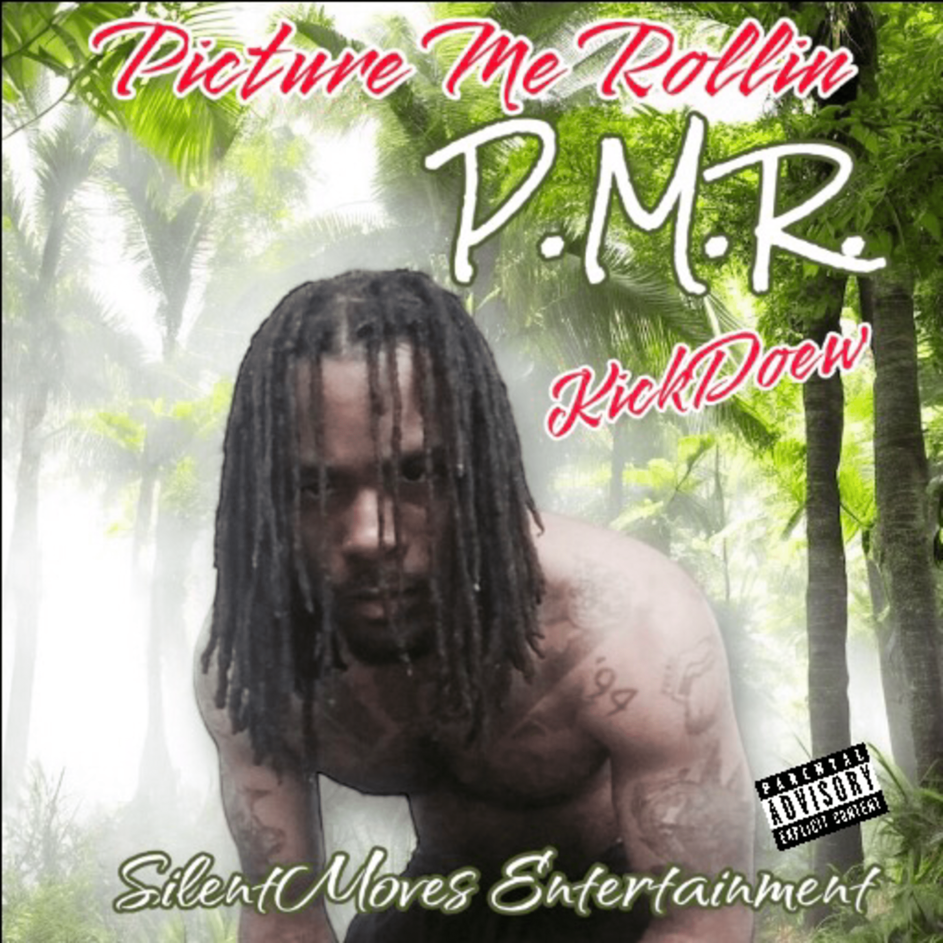 Picture Me Rollin - P.M.R. artwork