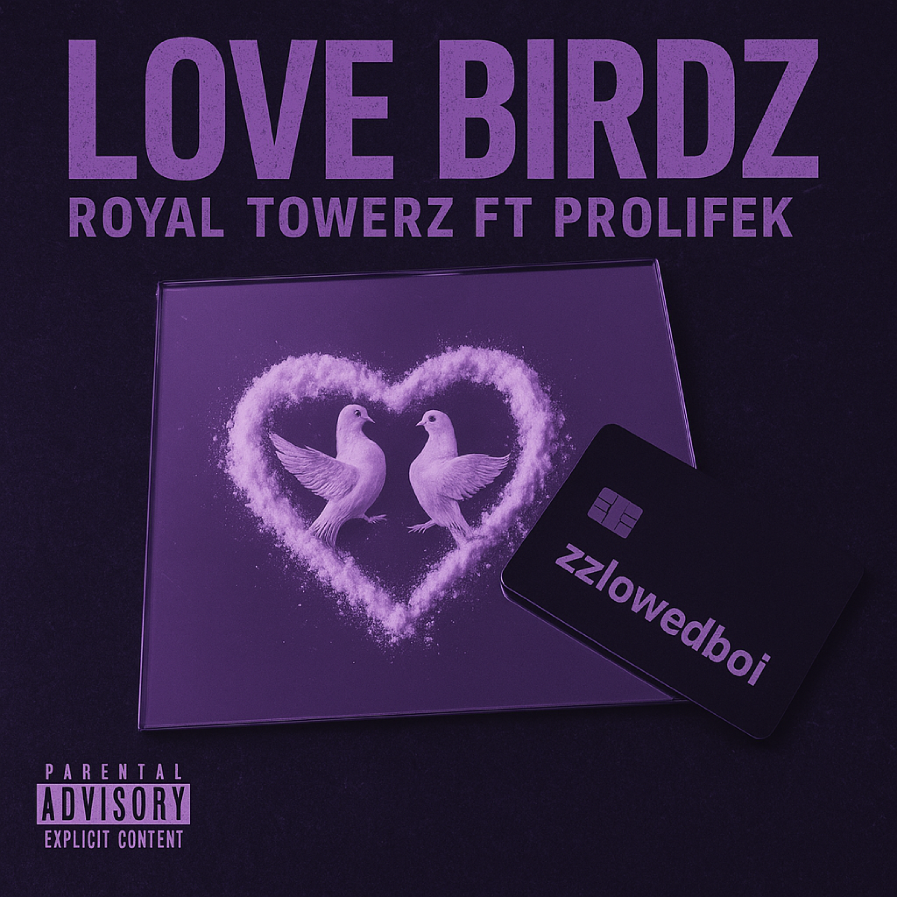 Love Birdz artwork