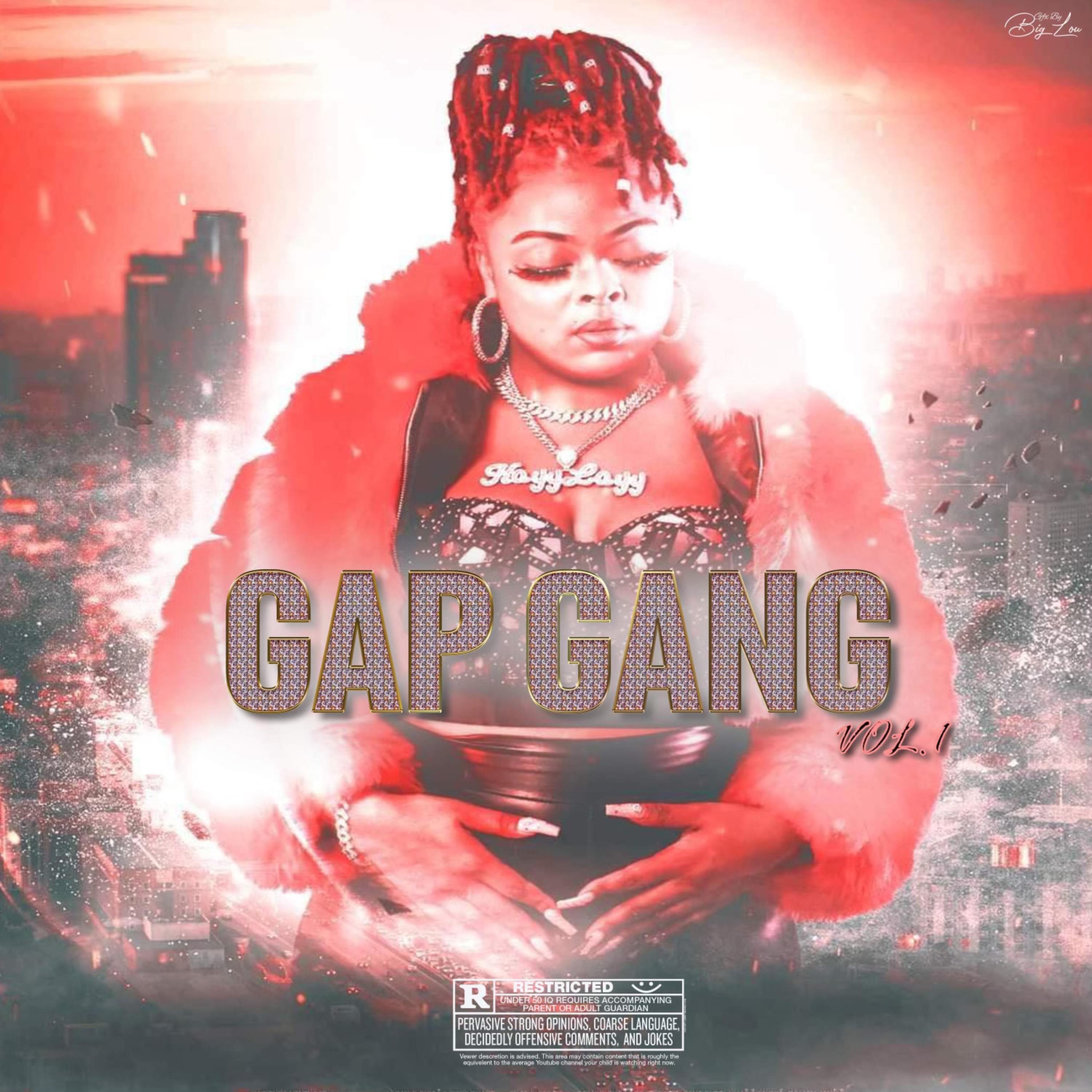 GAP GANG, Vol. 1 artwork