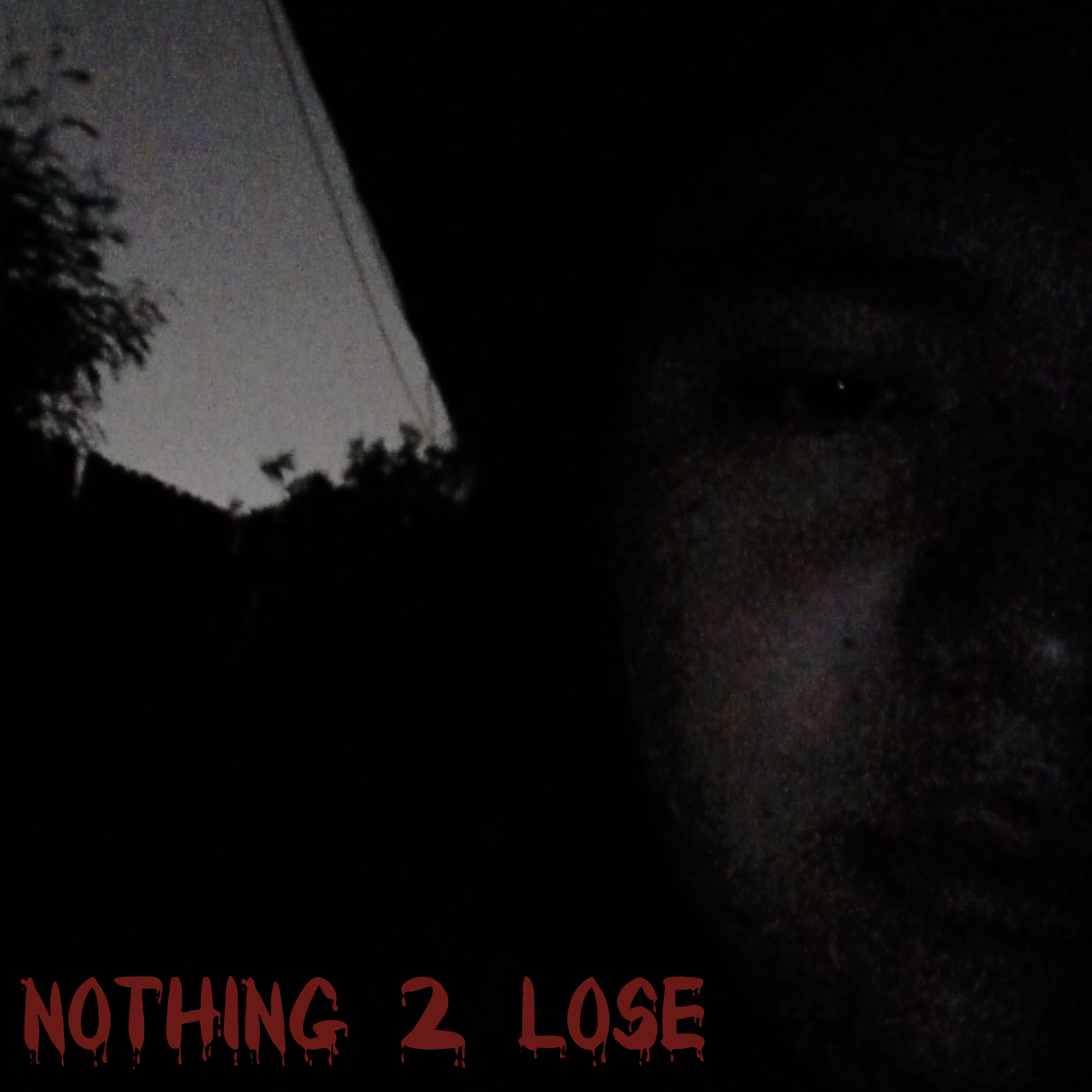 NOTHING 2 LOSE artwork